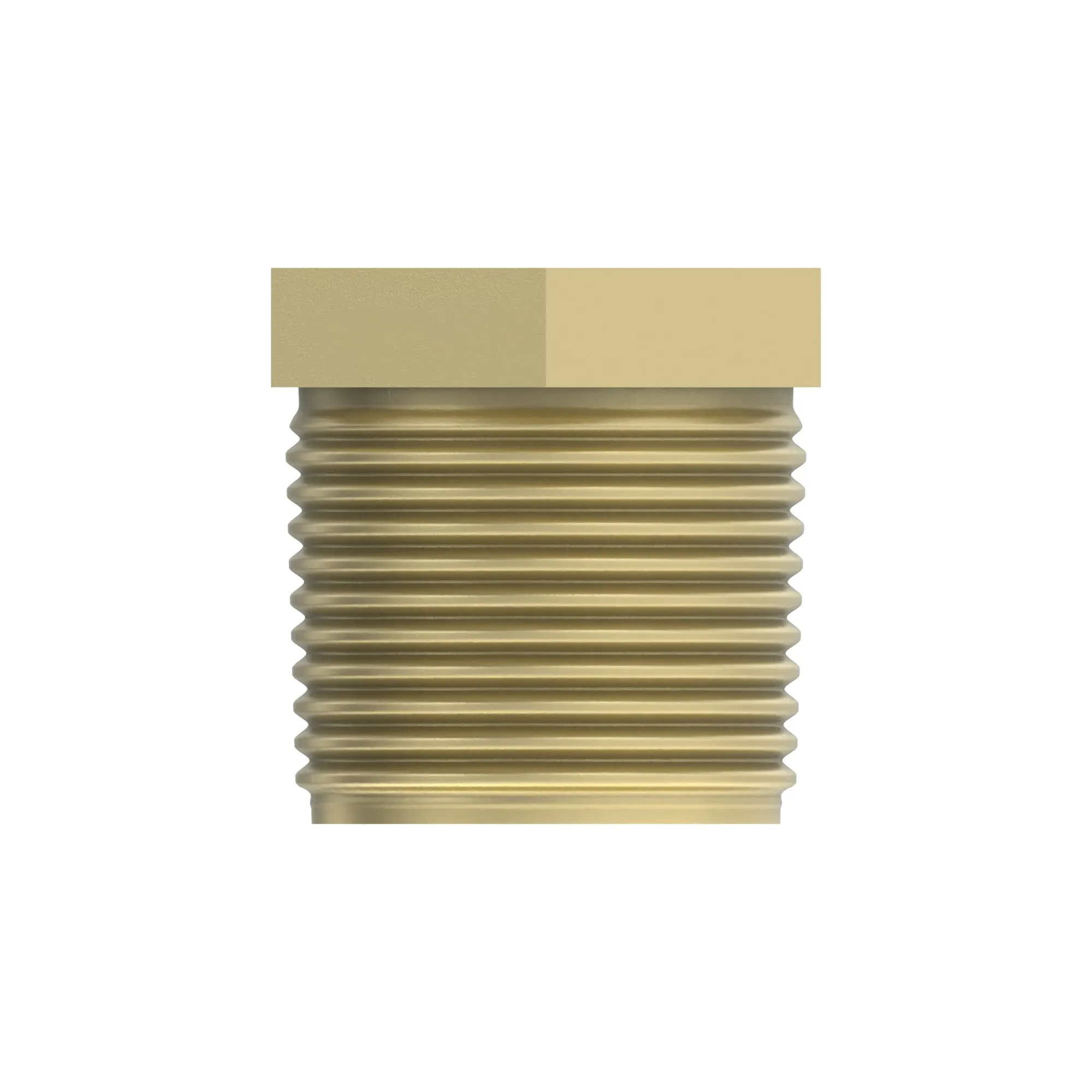 PIPE BUSHING OR ADAPTER, Pipe Bushing
