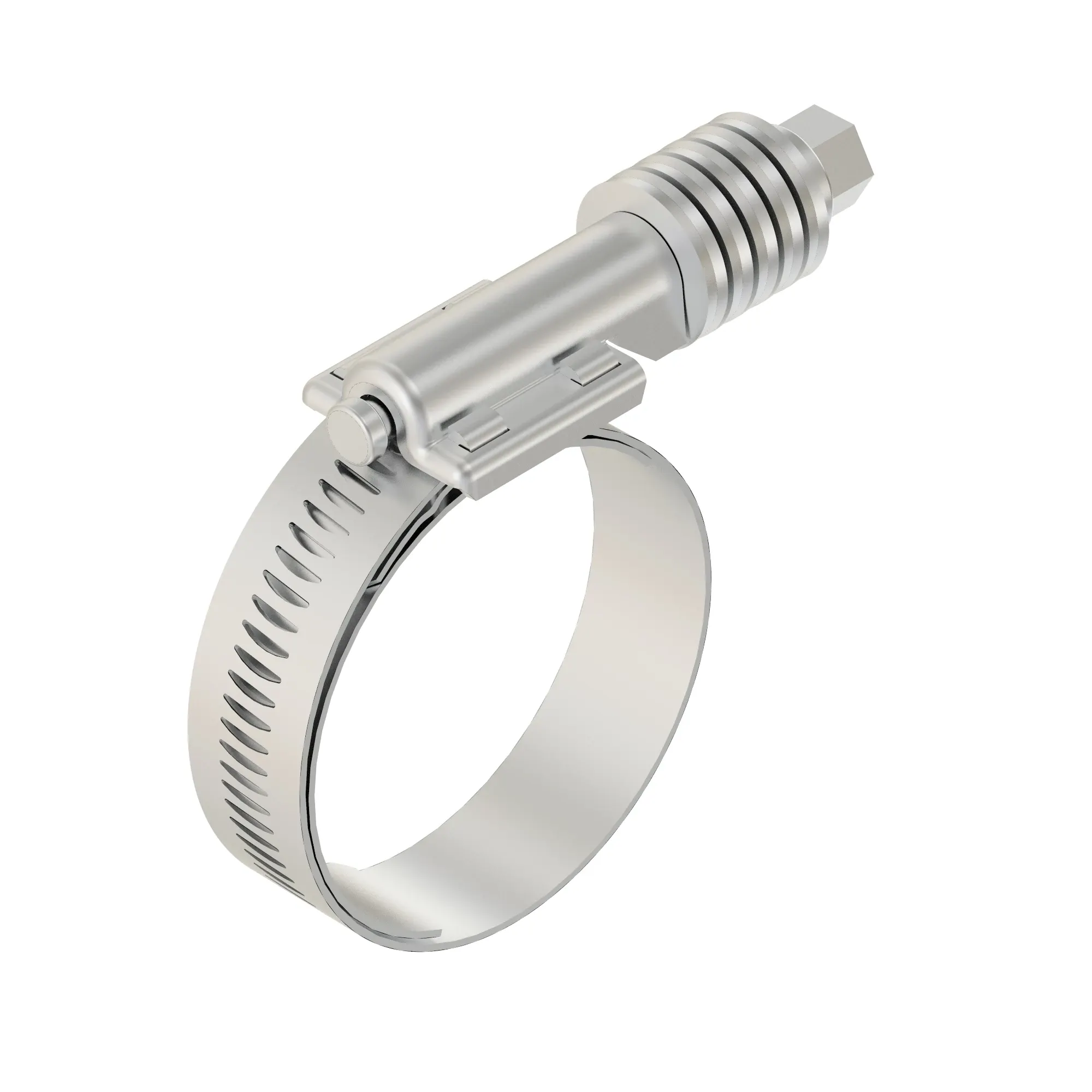 Hose Clamp