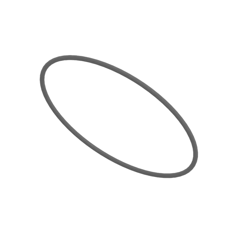 O-Ring