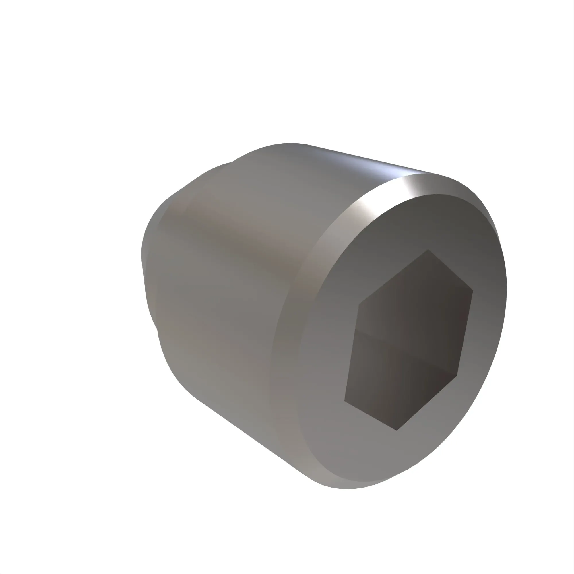 Fitting Plug