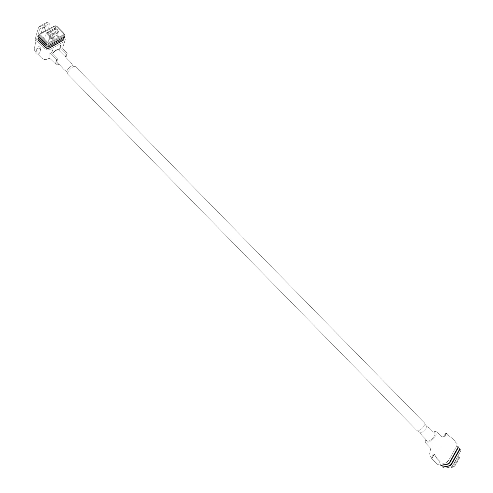HID Lamp