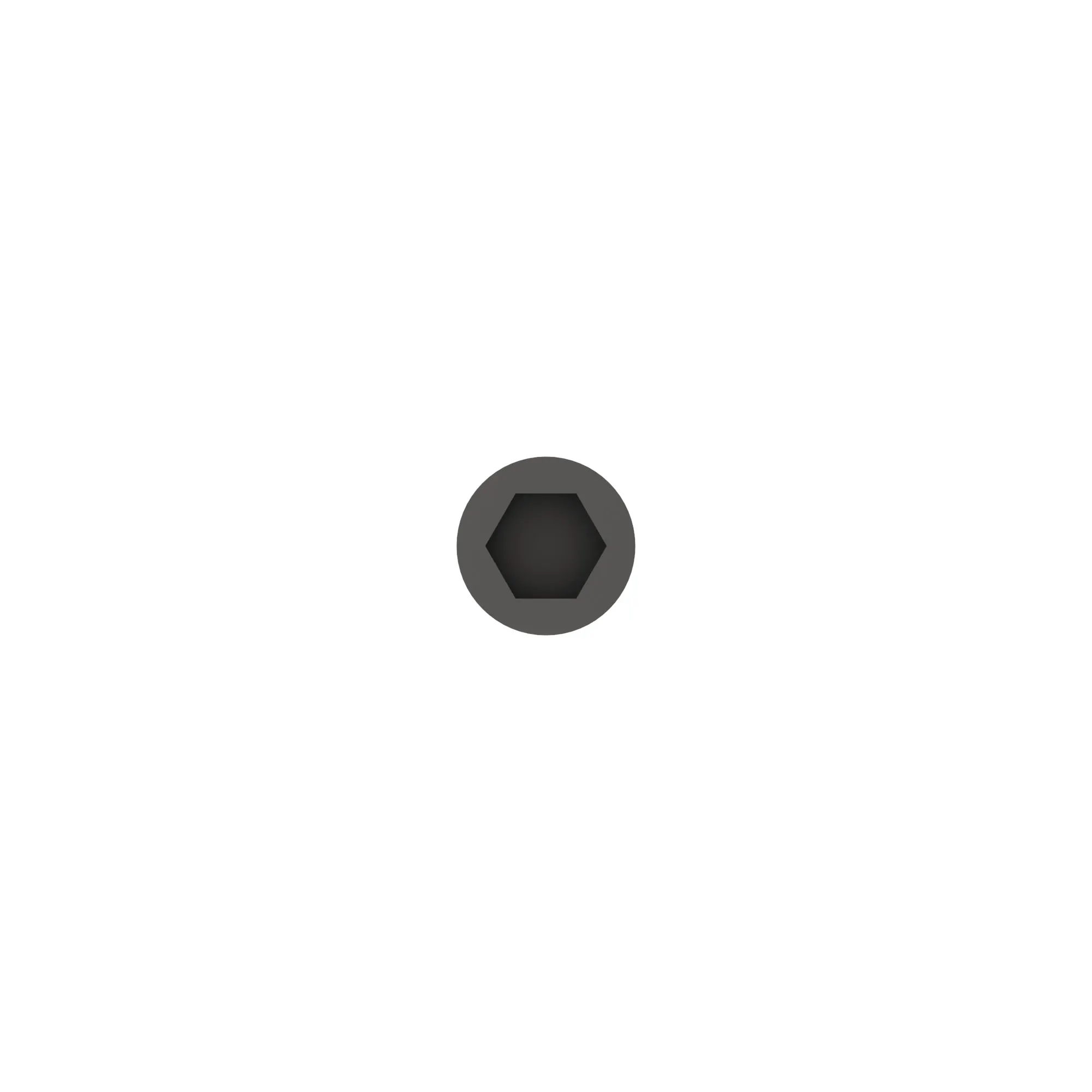 BOLT, SHCS, M22 X 2.5, 100 MM, 12.9
