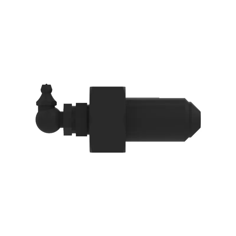Check Valve