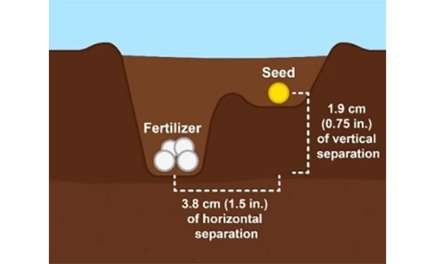 Graphic showing spacing between seed and fertilizer in ground