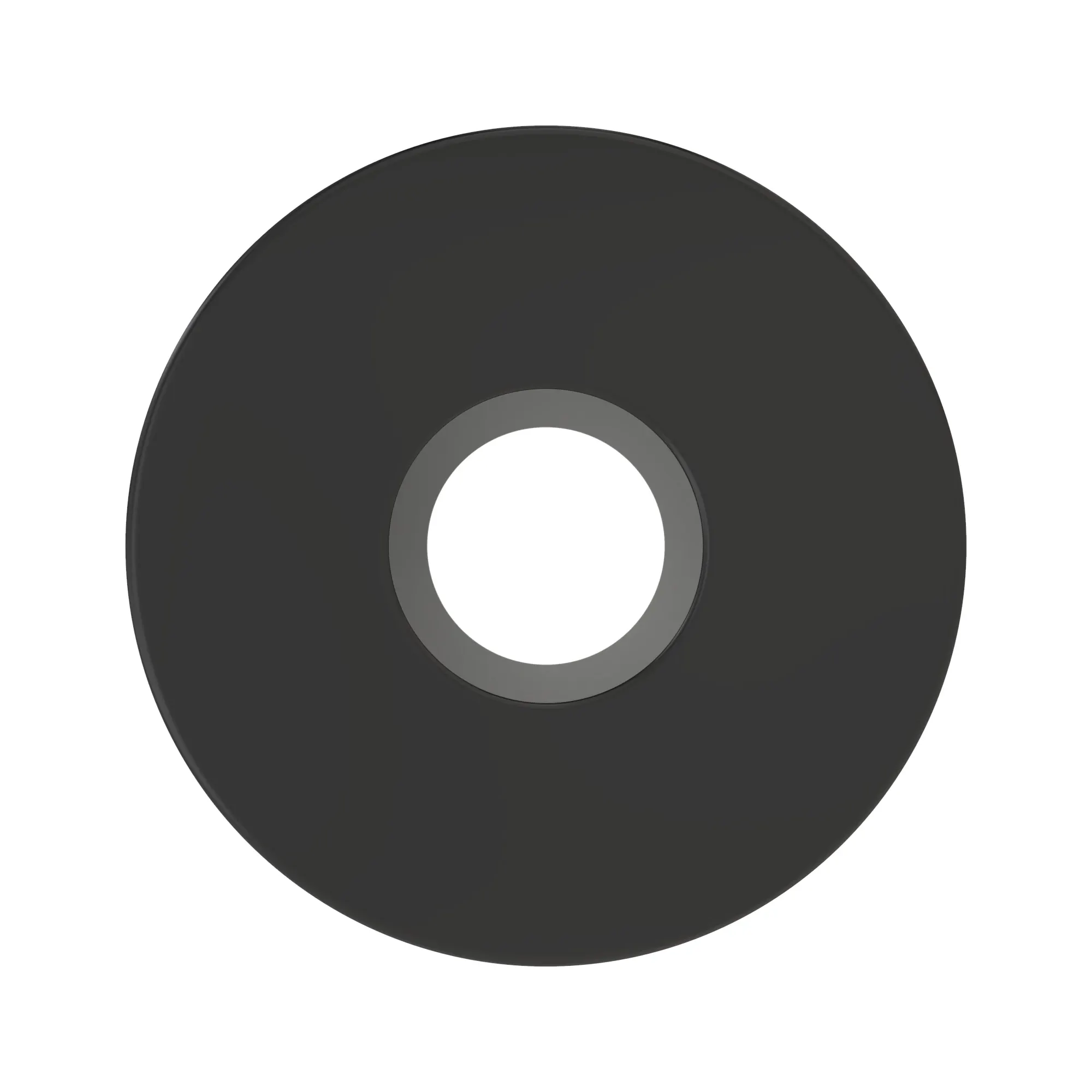 R273534: Plain Spacer