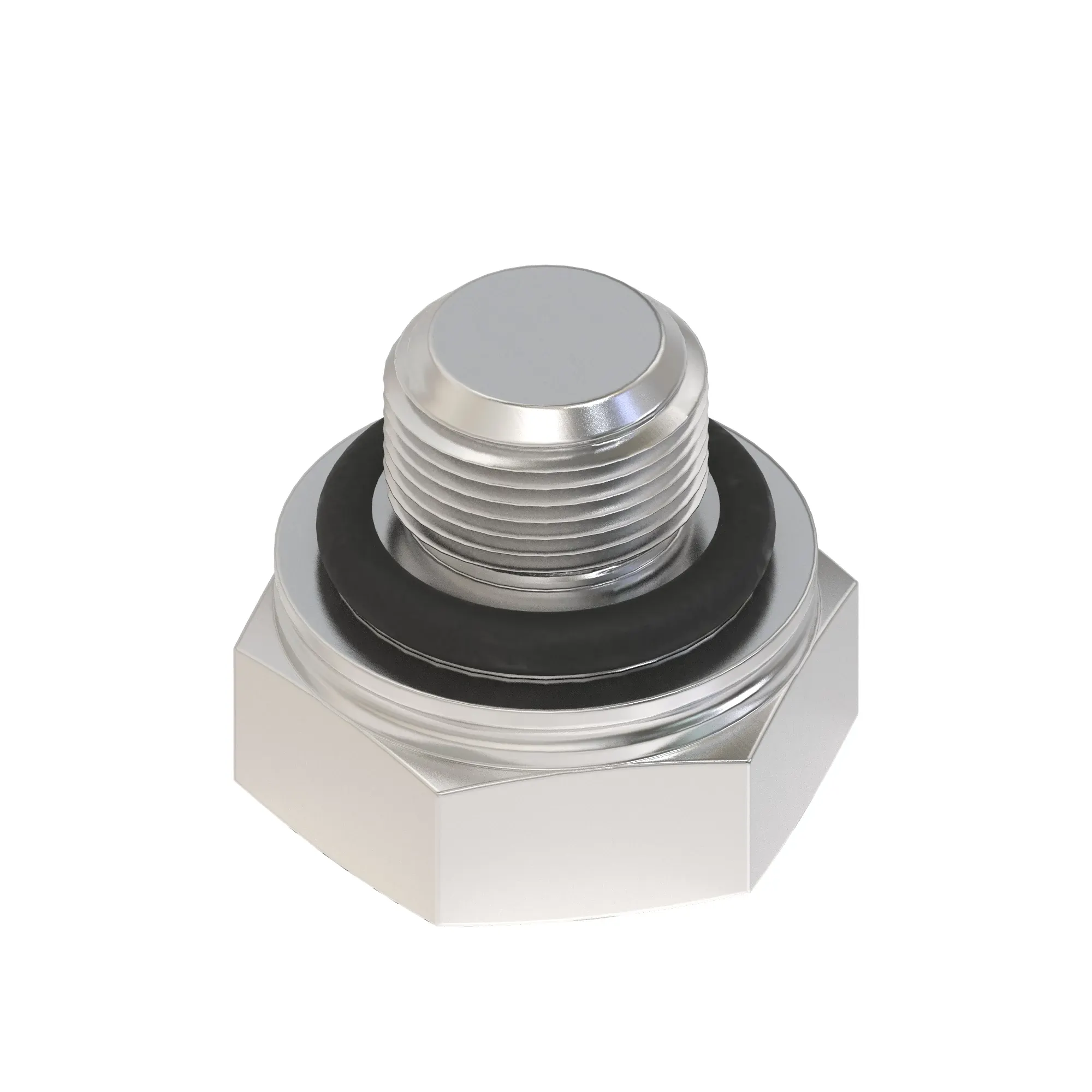 Fitting Plug