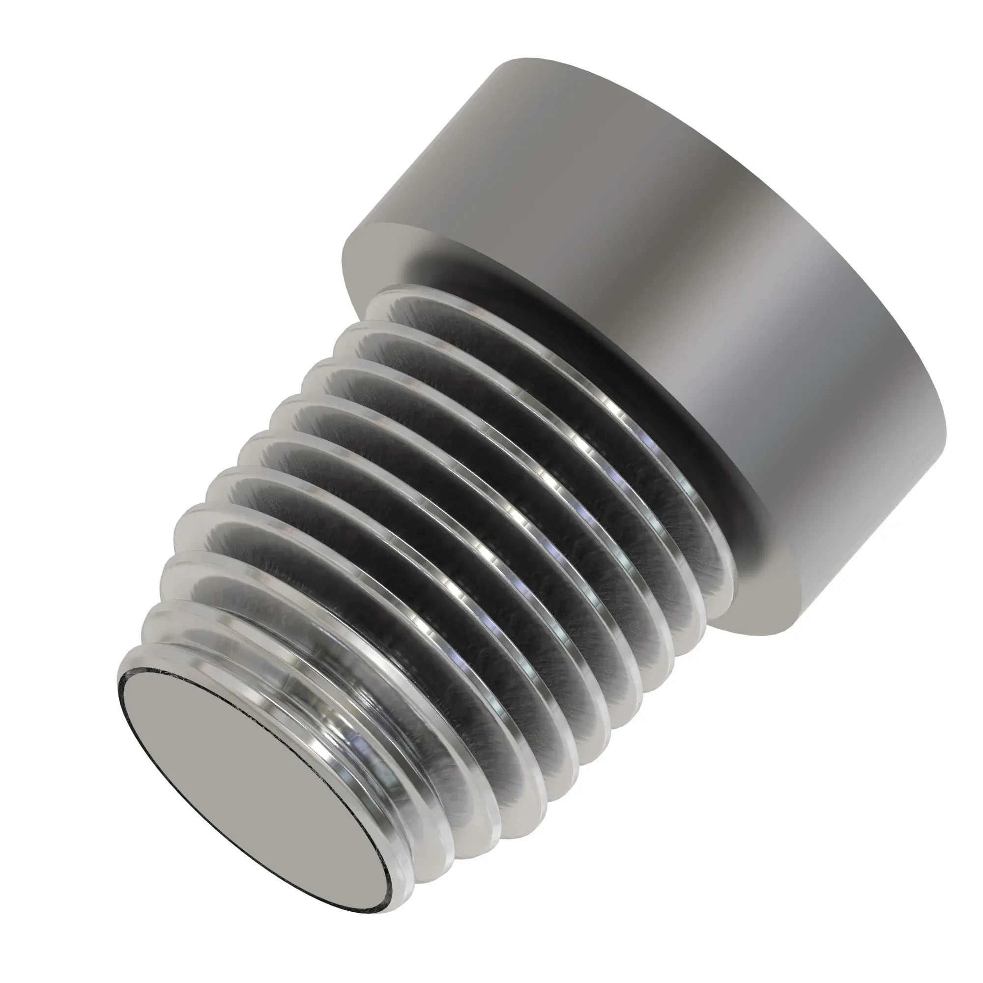 Socket Head Screw