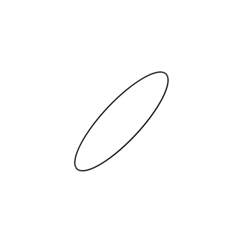 O-Ring