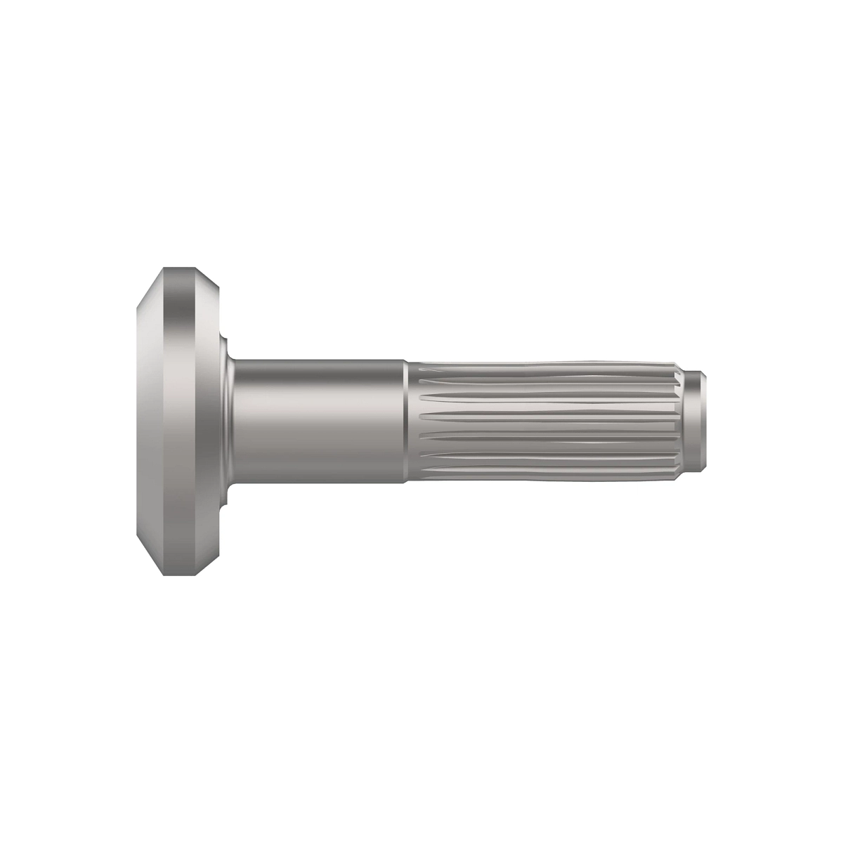 Bevel Gear Drive