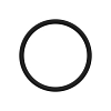 O-RING