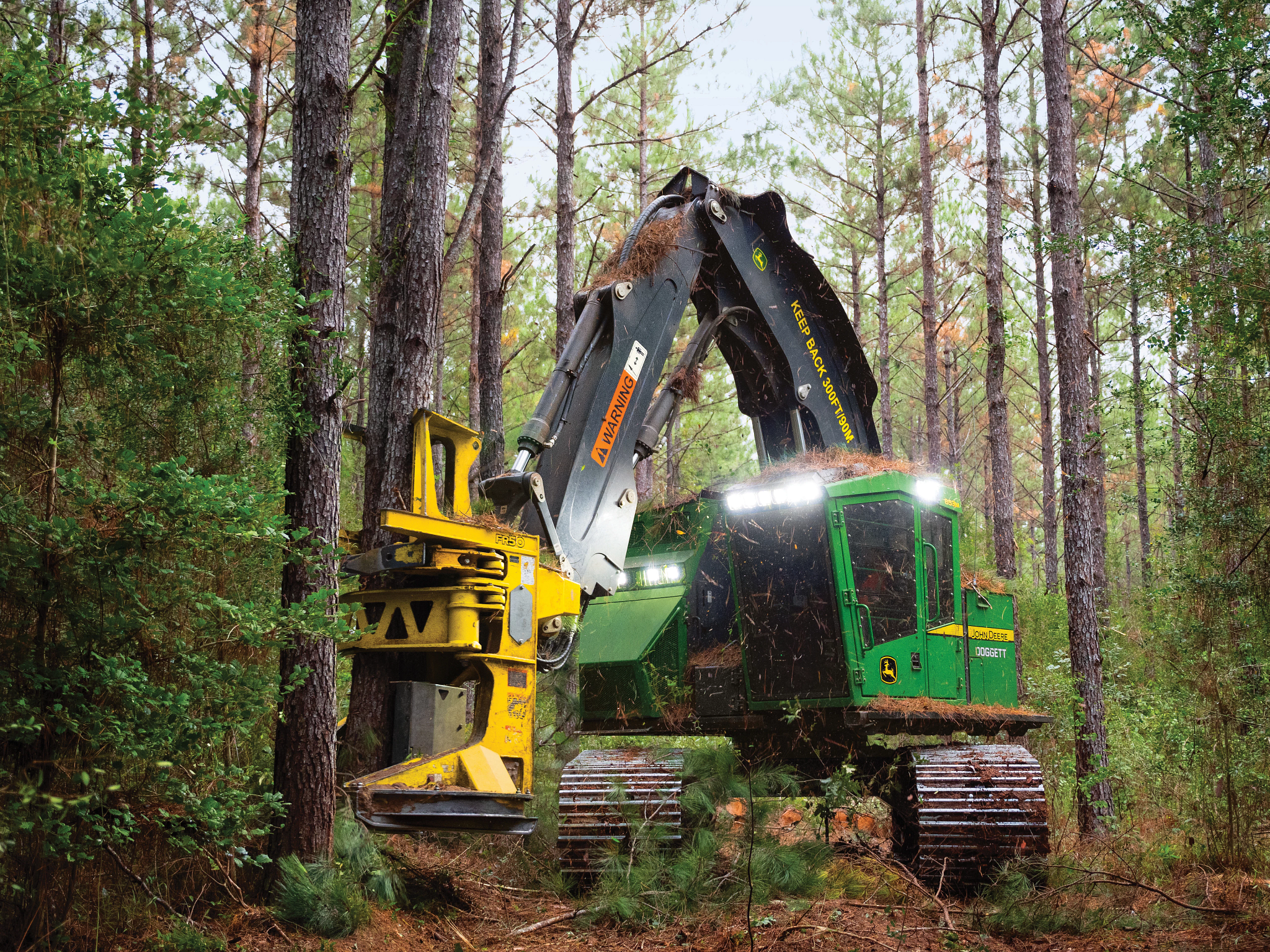 John Deere forestry machine operating in a wooded area, cutting a tree with a harvesting head mounted on a tracked excavator, surrounded by dense pine trees and forest undergrowth.