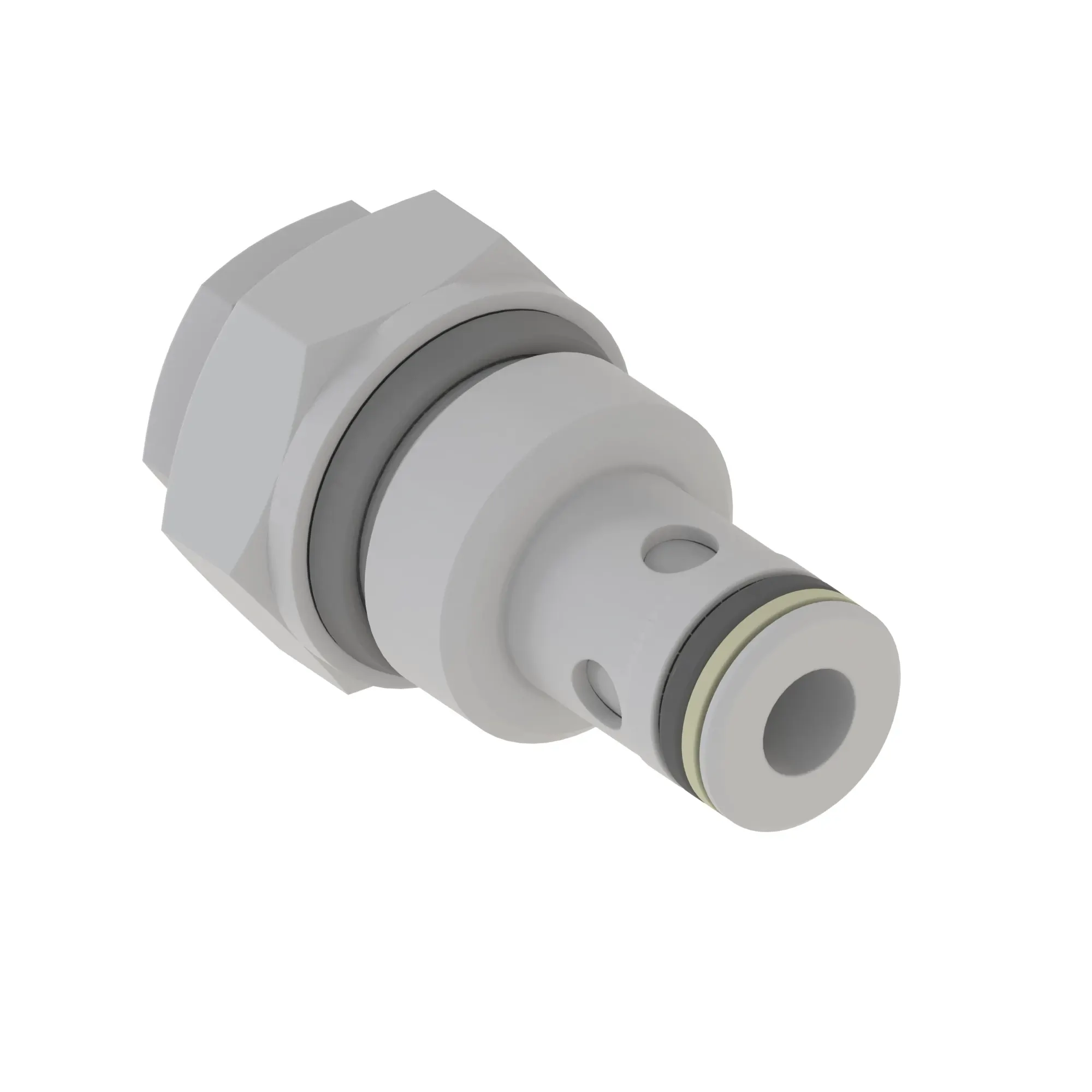 Check Valve