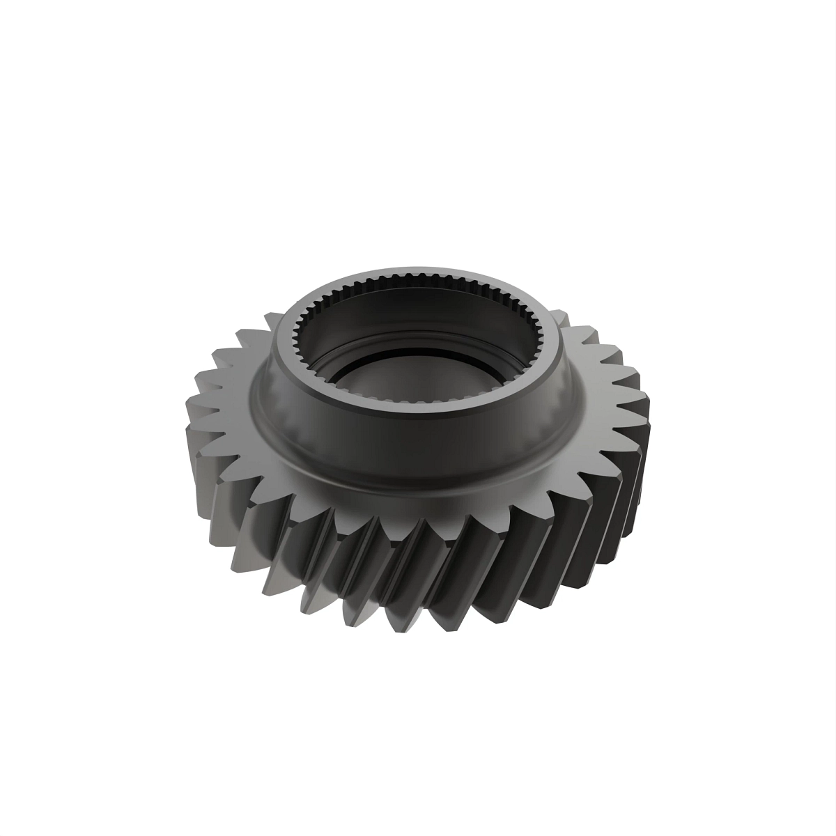 Gear, T=31