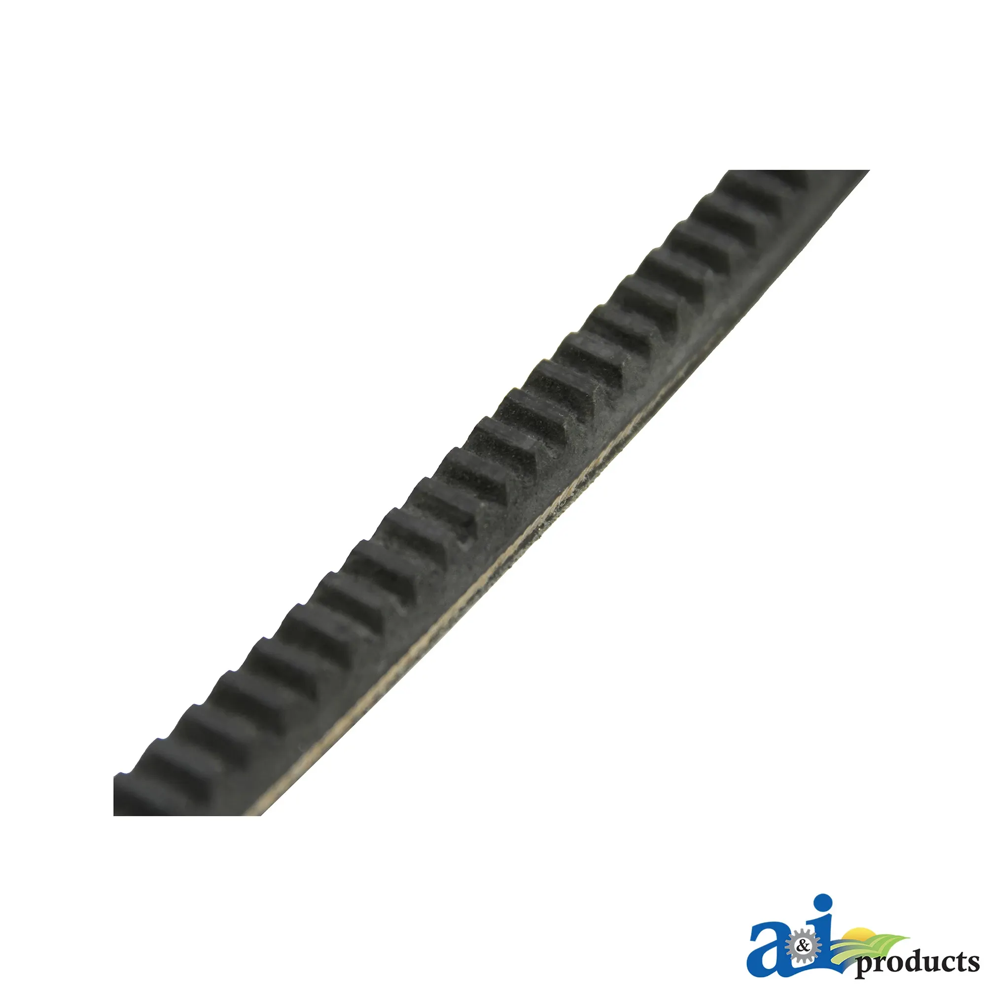 0.531 Section V-Belt, Effective Length 1244.6 mm (49 inch)