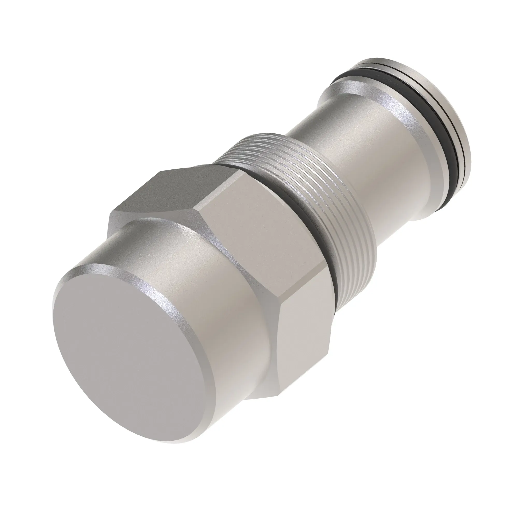 Check Valve