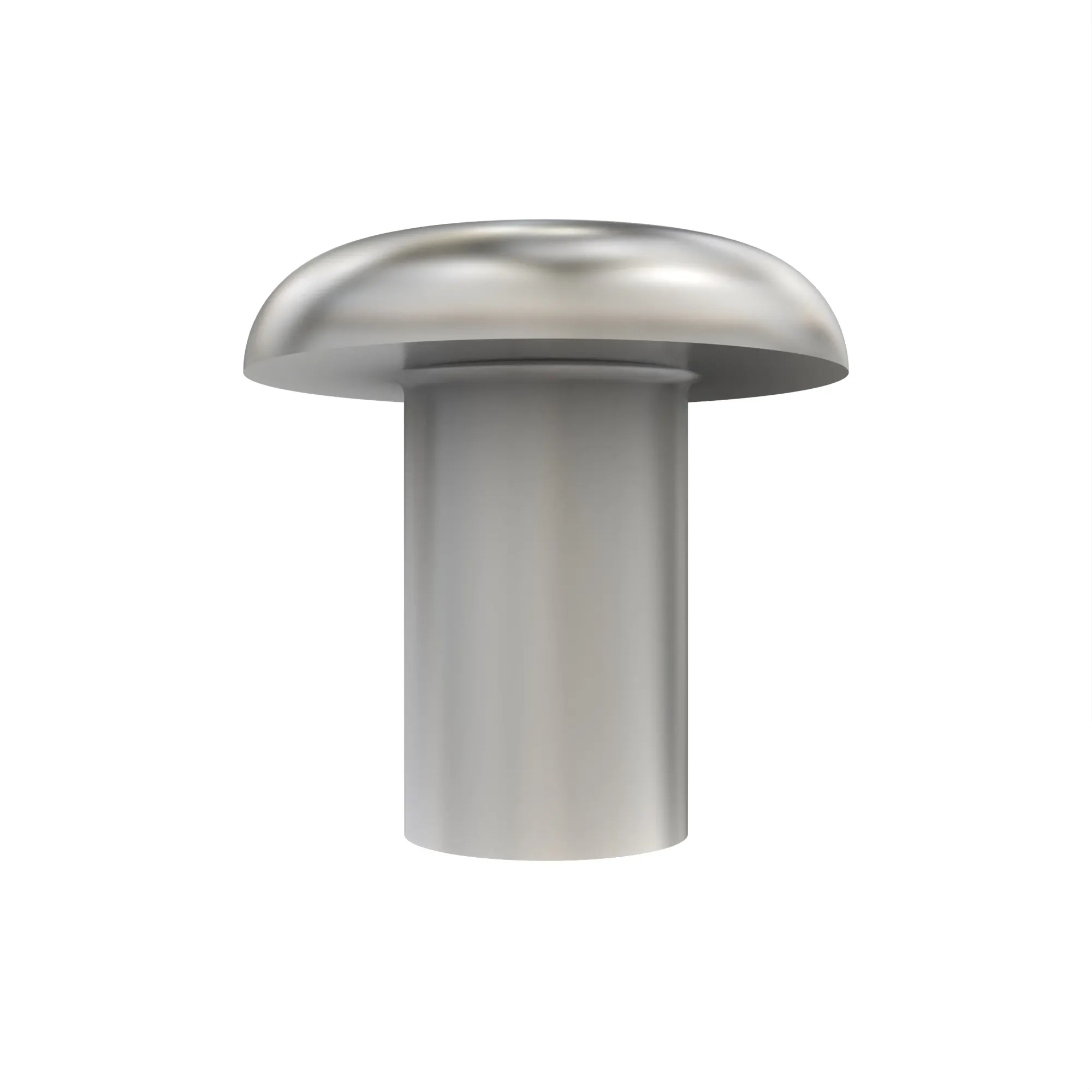 Rivet