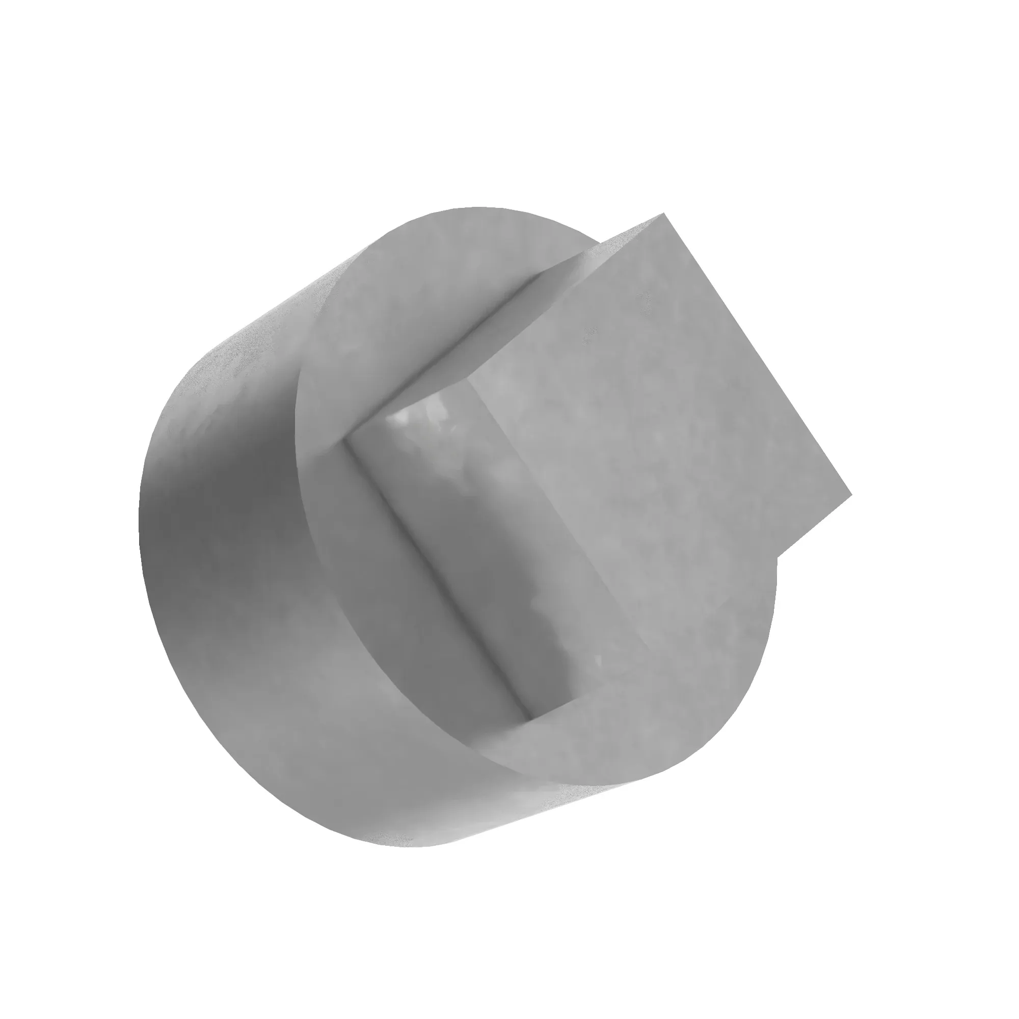 Pipe Plug