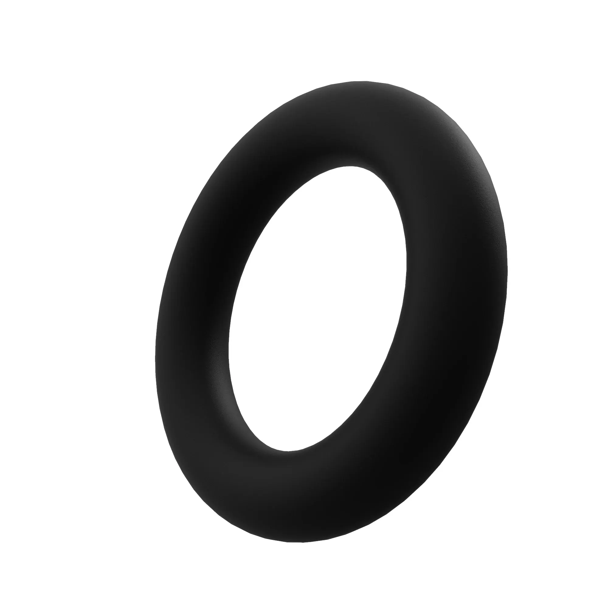 O-Ring
