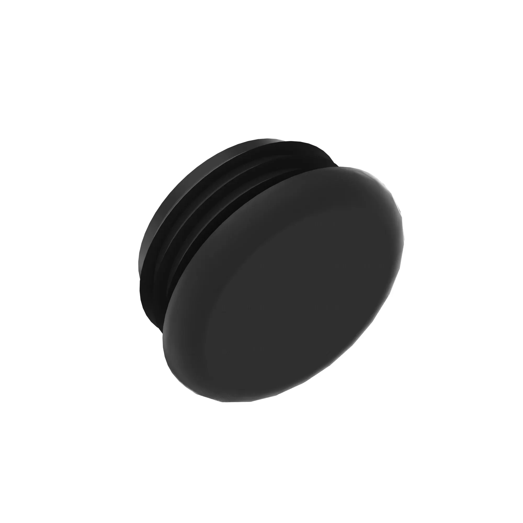 PLUG, CAP PLUG