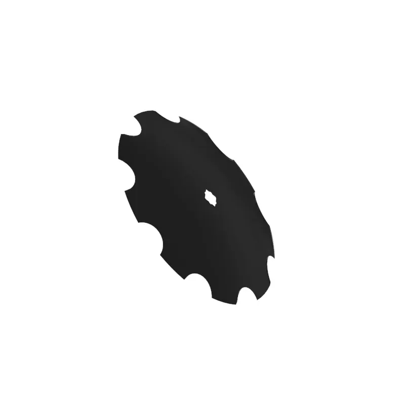 Disk