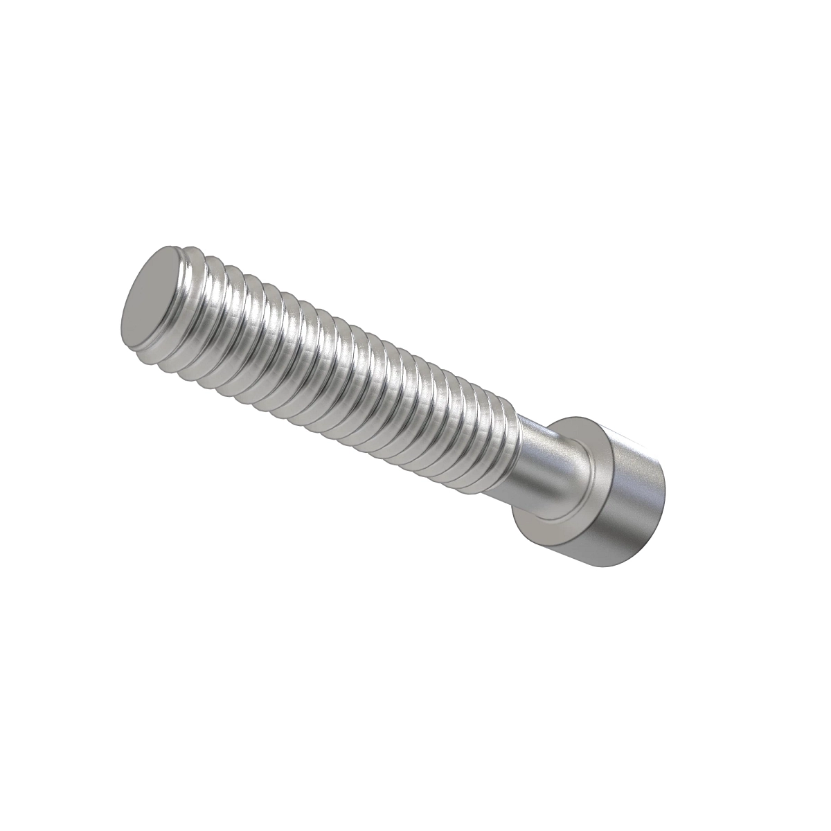 Screw, Hex Socket Head, Metric