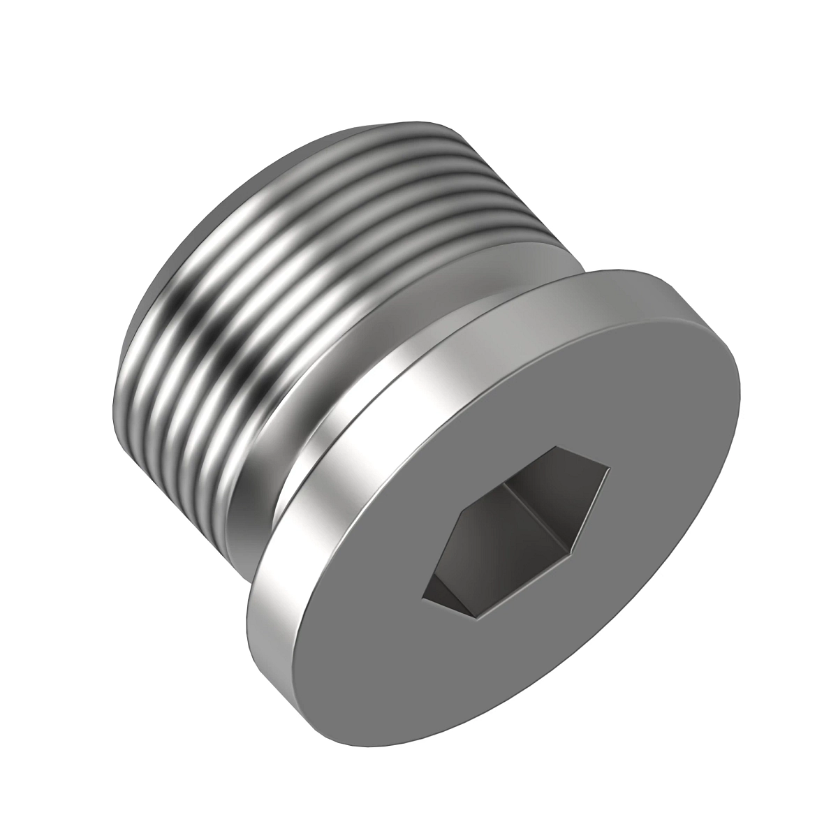 Plug W/O-Ring