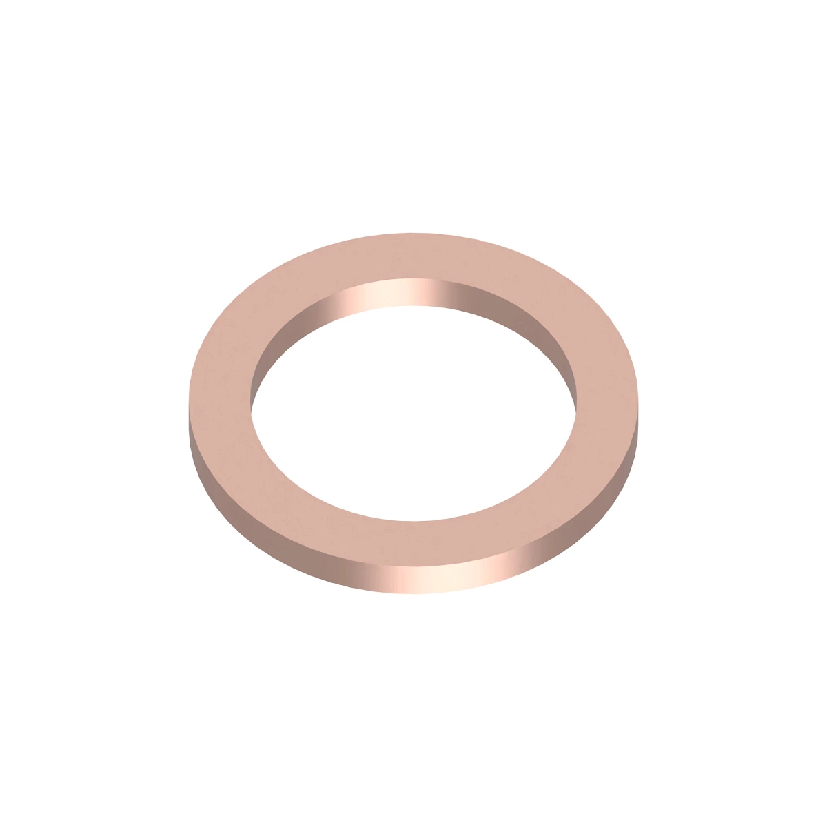 Sealing Washer