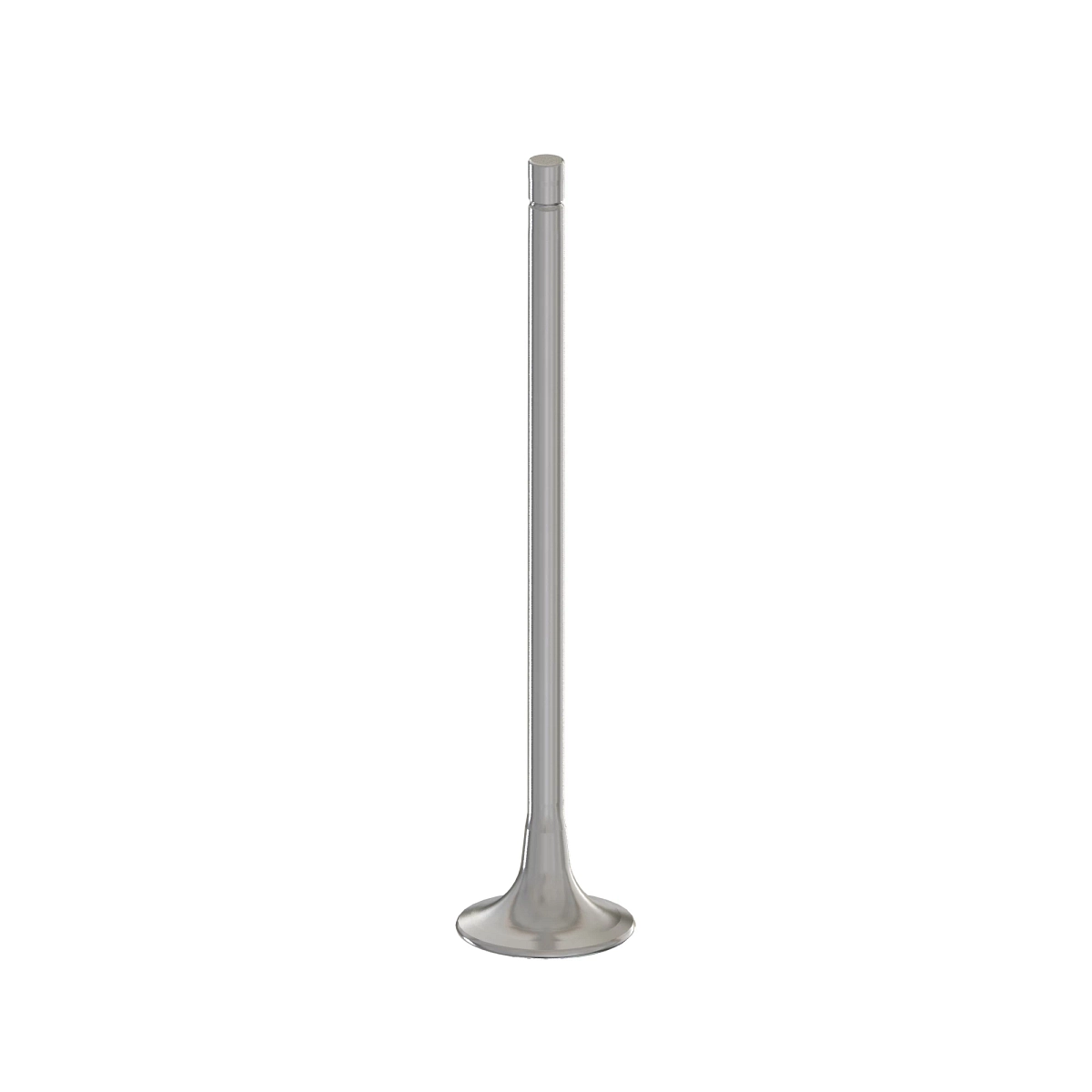 Intake Valve