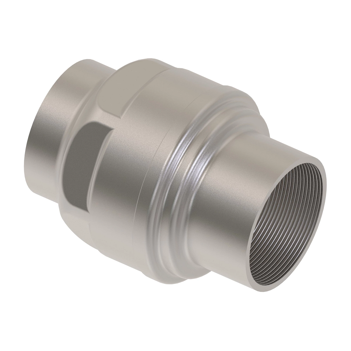 Check Valve, G-2'' In-In Ss