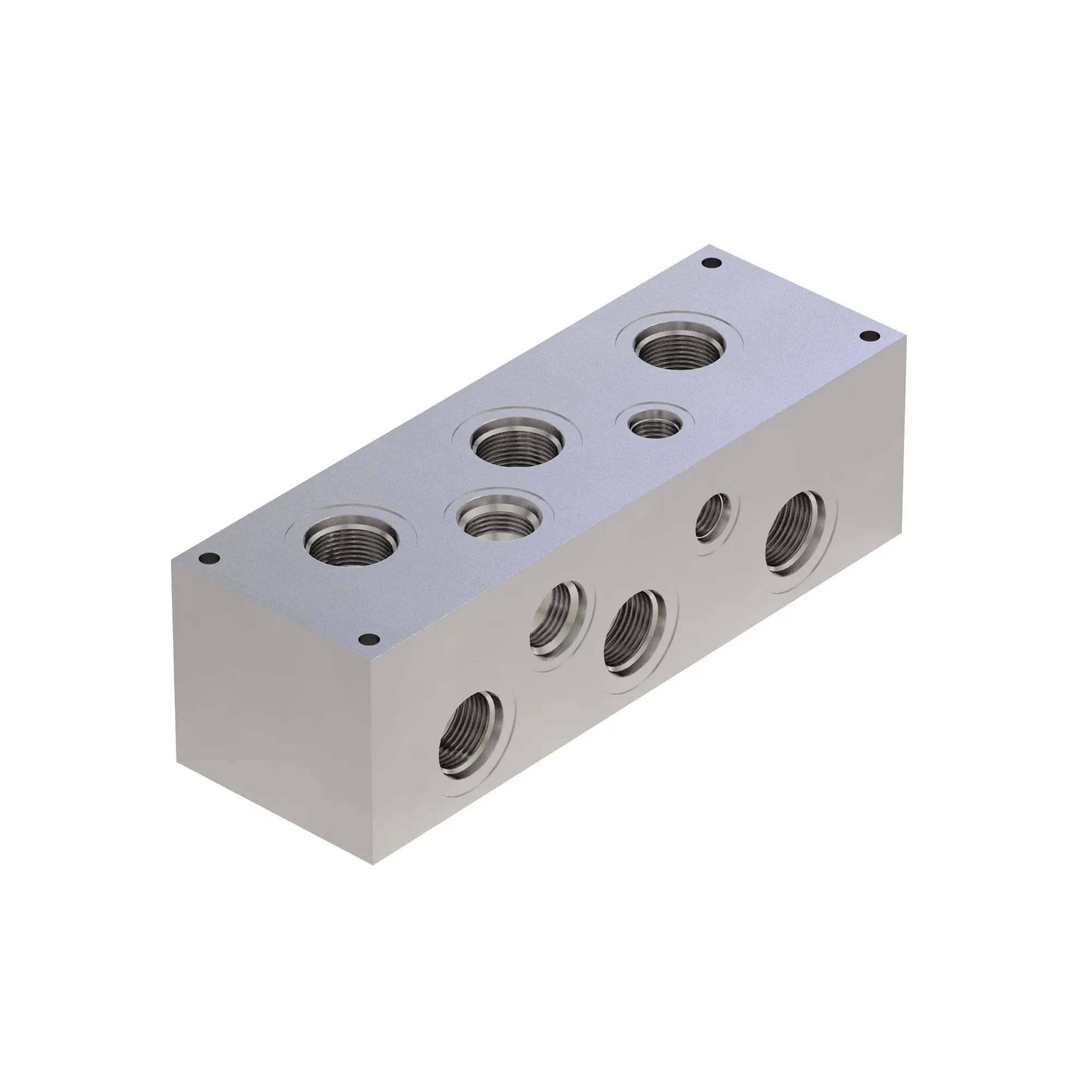 Manifold