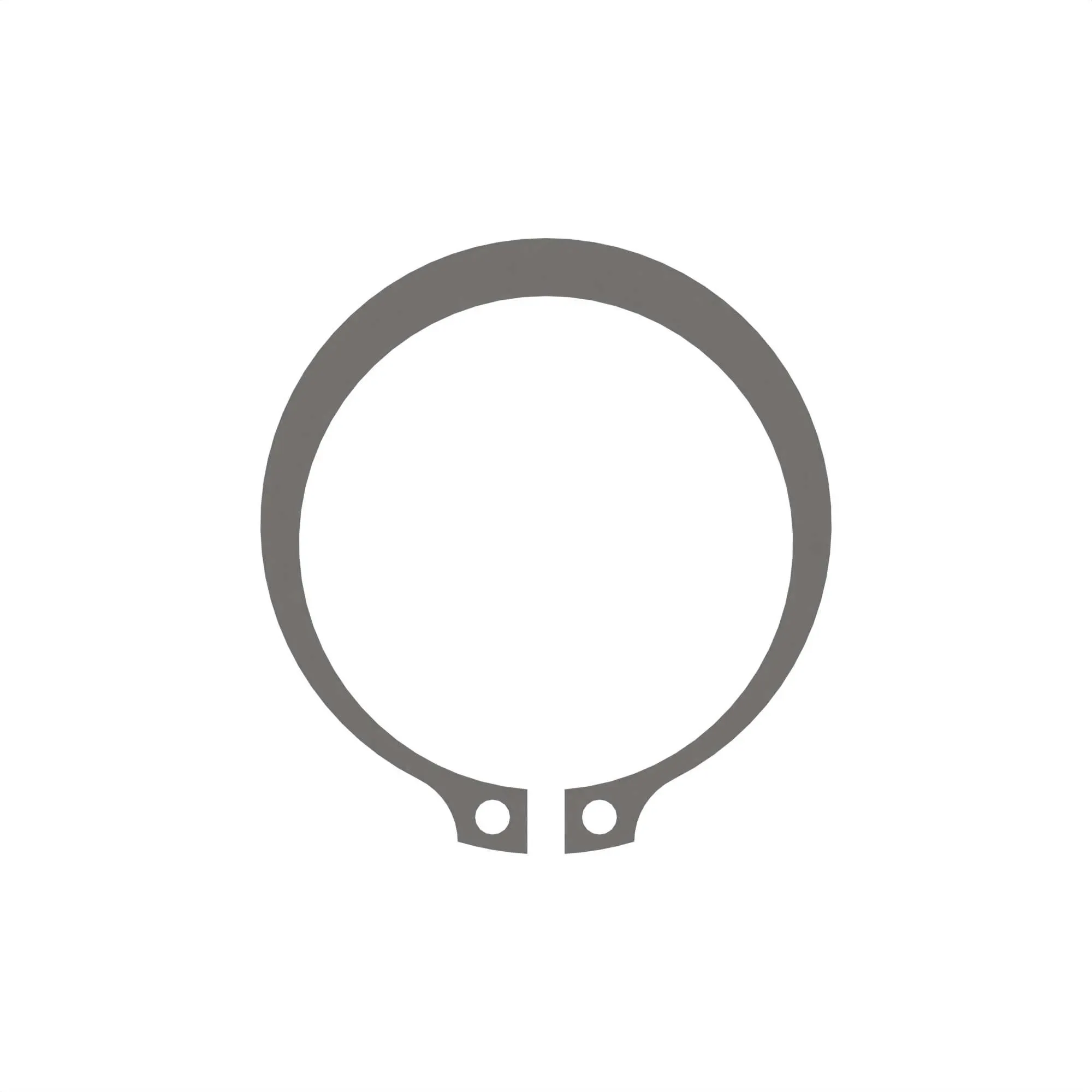 Snap Ring