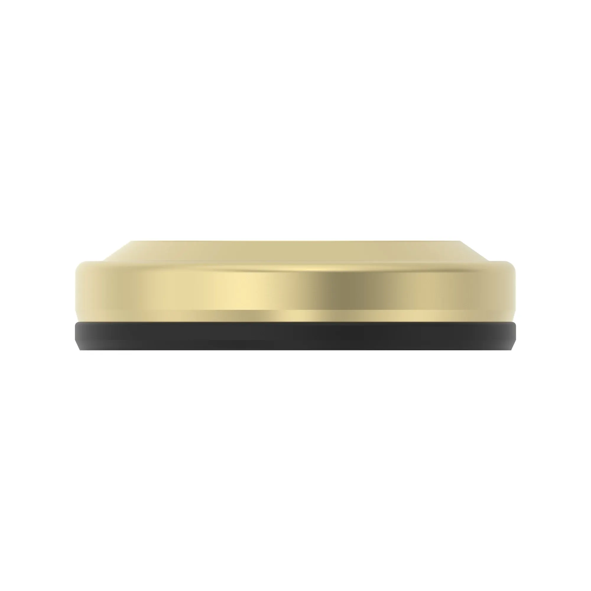SEAL, SEAL, MULTILIP