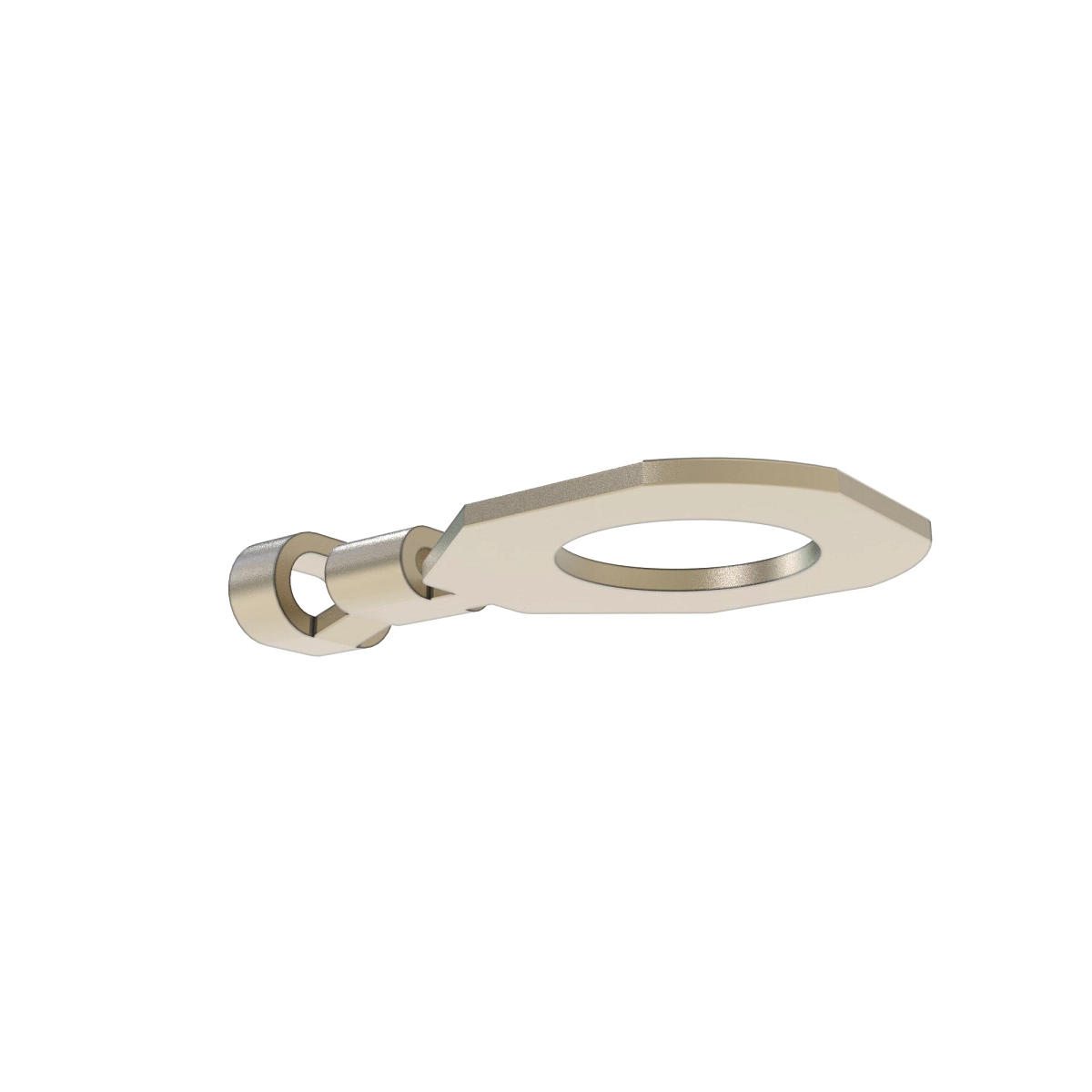 Term Delphi Ring M10