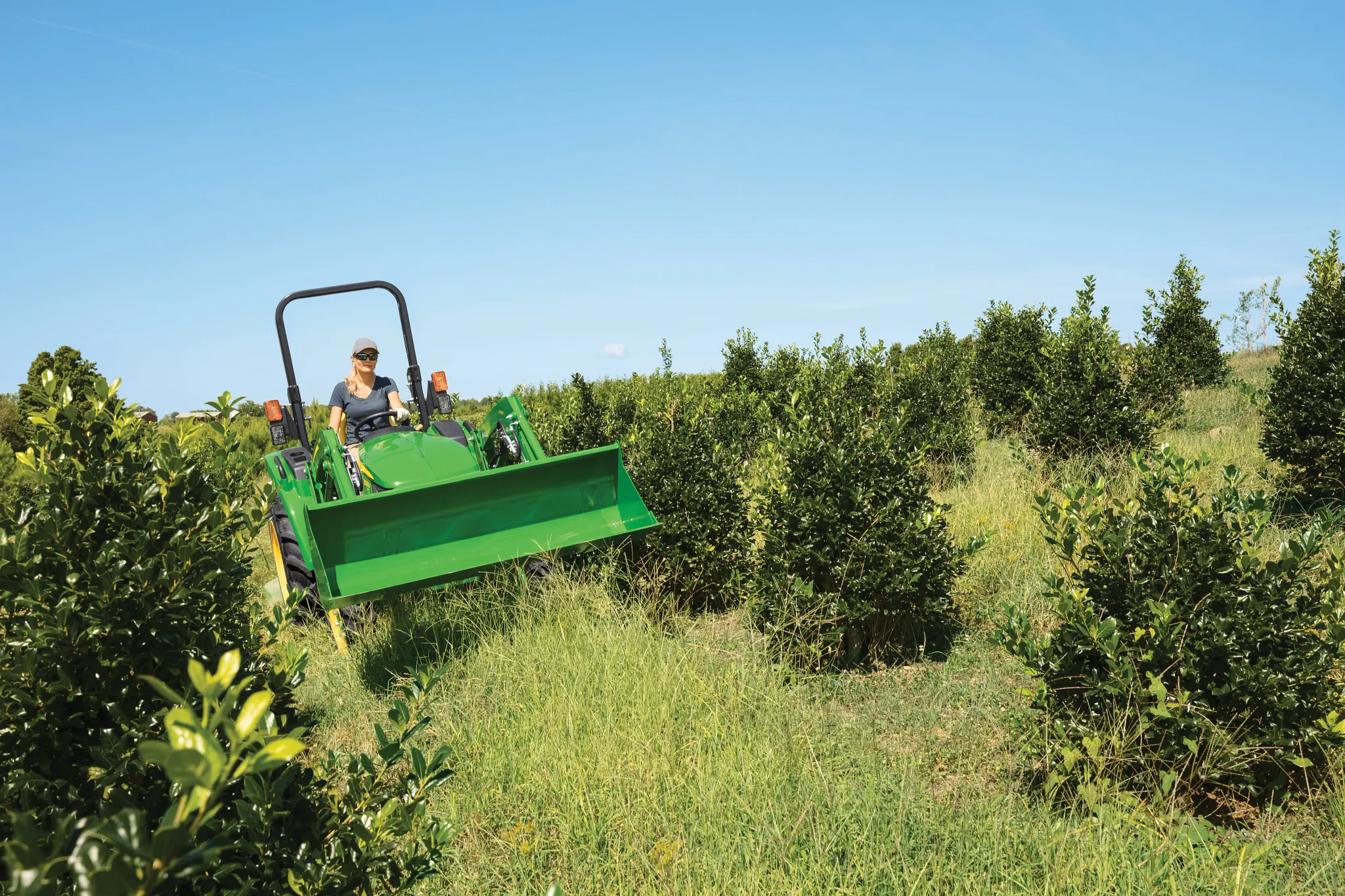 A person on a green tractor with a front loader drives through a grassy orchard with rows of small trees under a clear blue sky