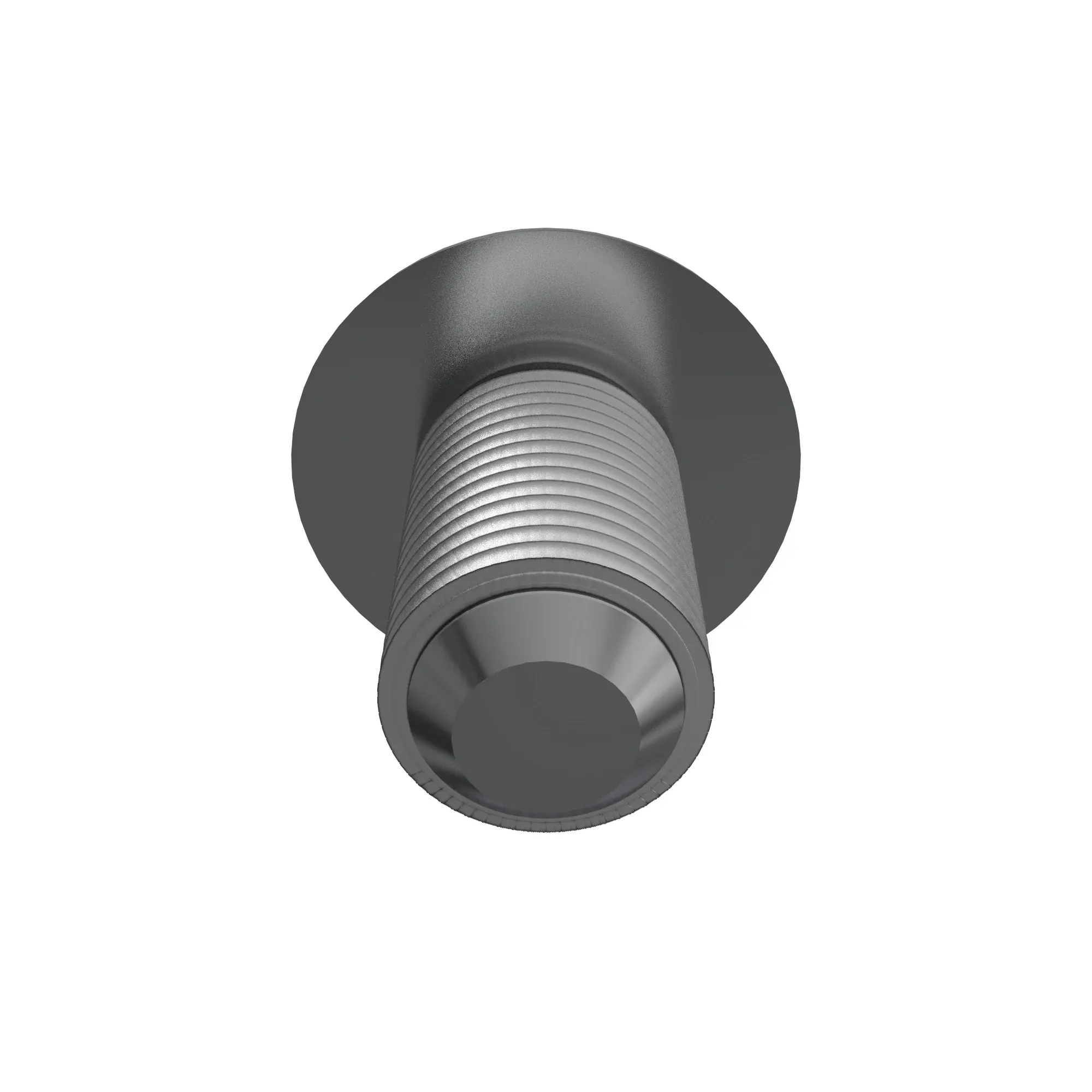SCREW, SPECIAL