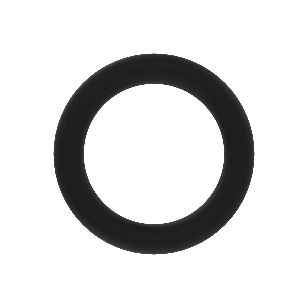 O-RING