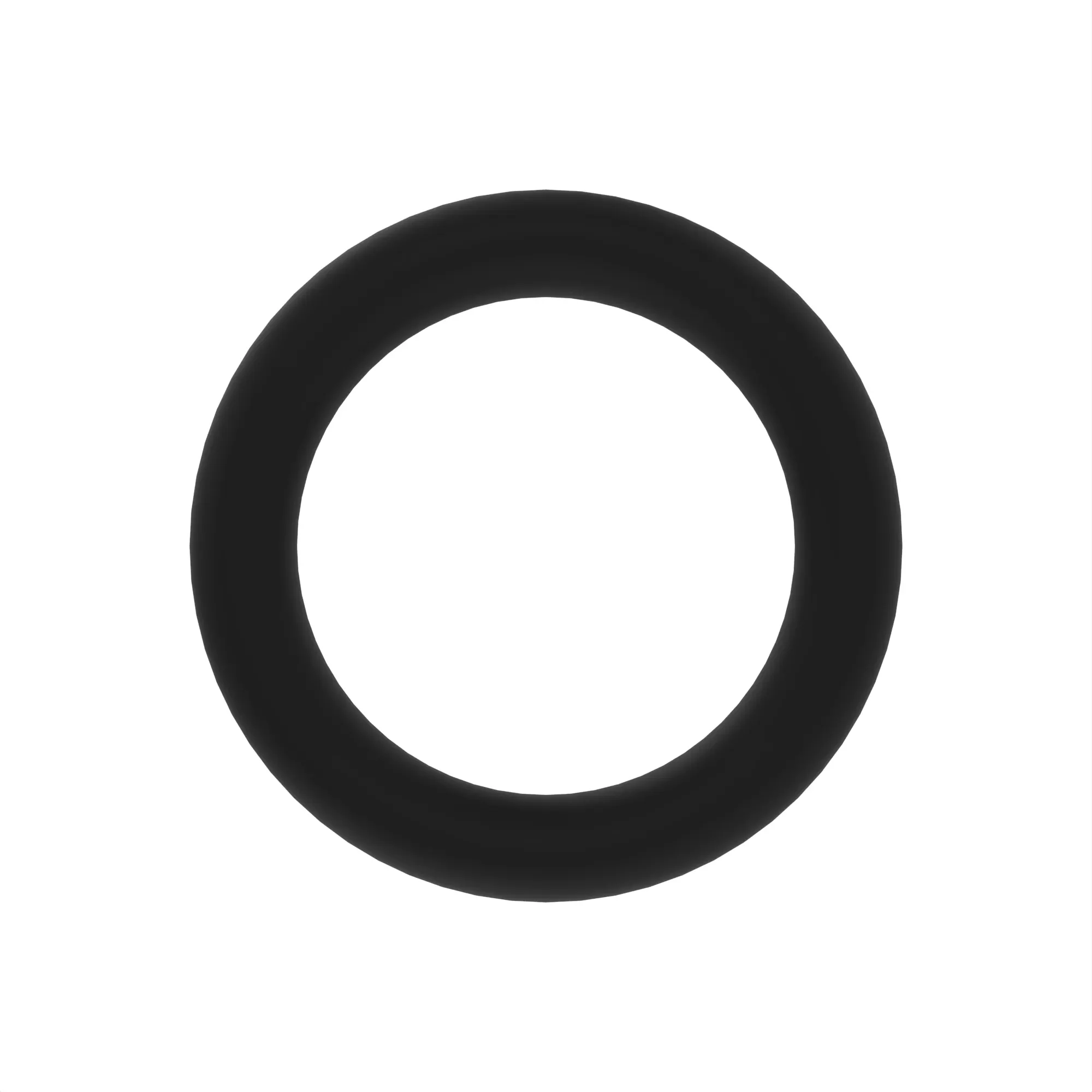 O-RING