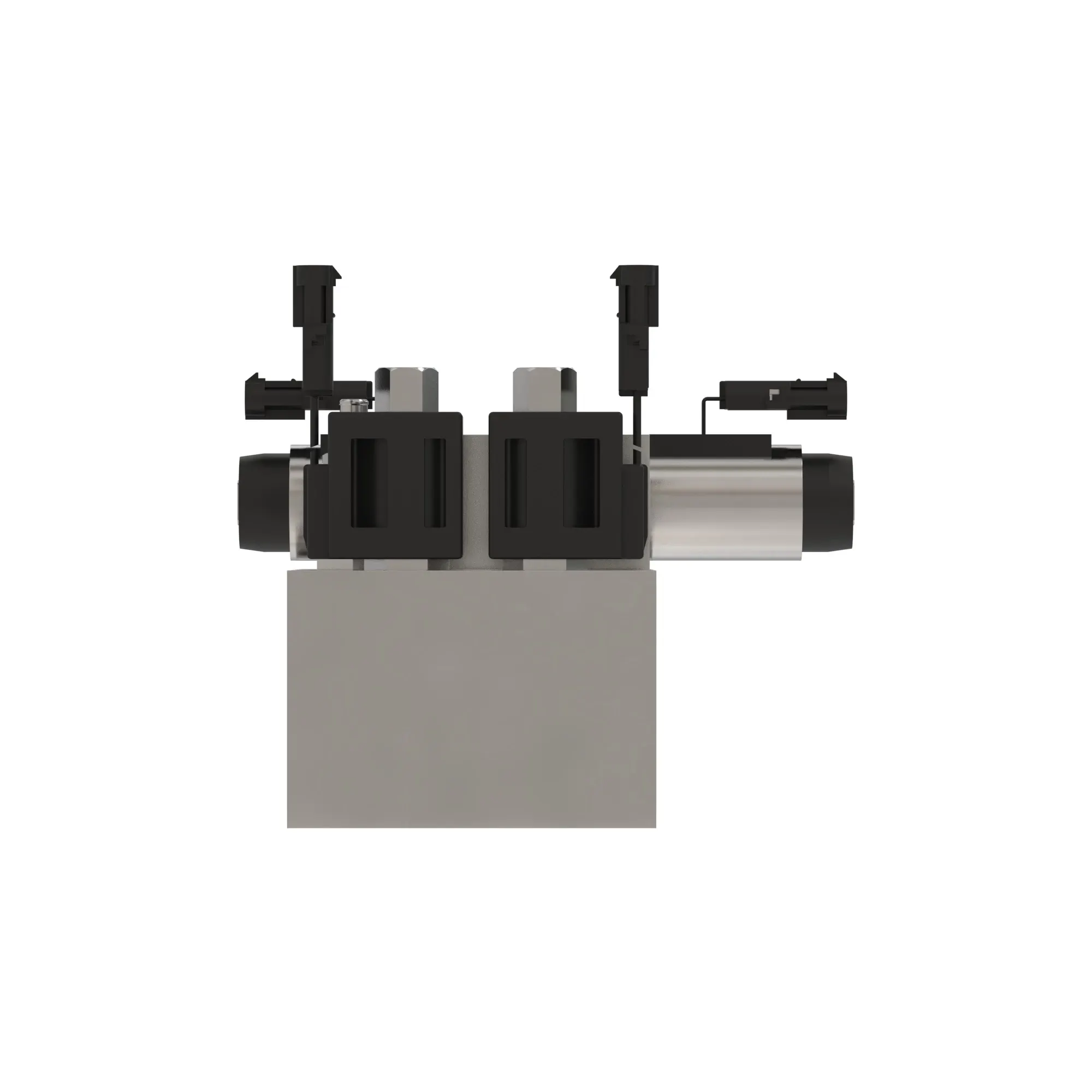 Manifold