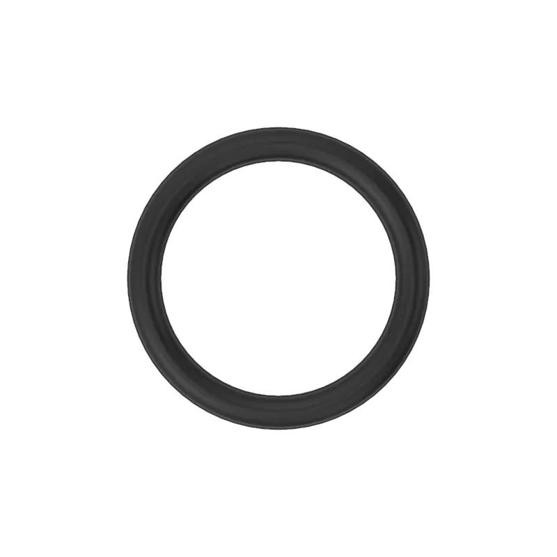 O-RING 15.4-2.1/70 LAN641  H4A
