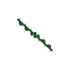 Auger