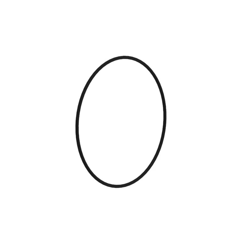 O-RING
