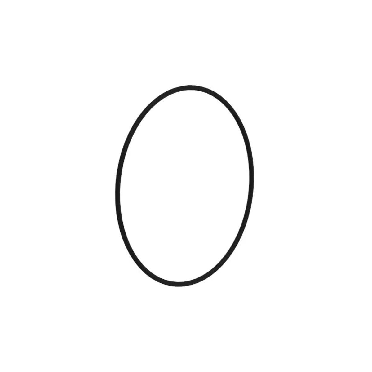 O-Ring
