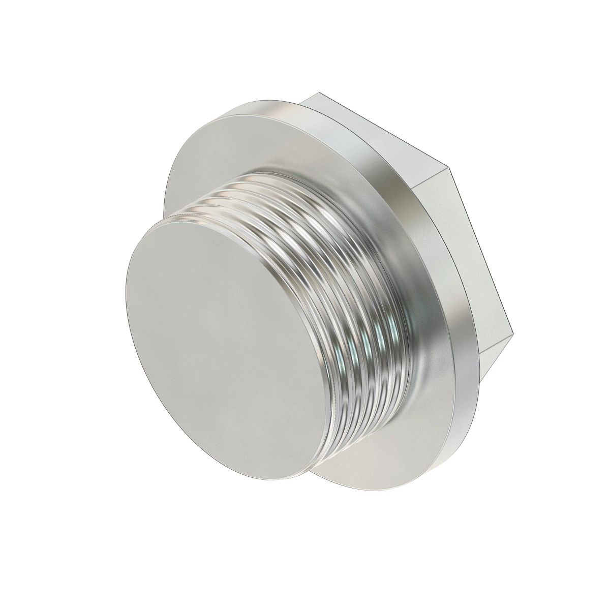 SIGHT PLUG