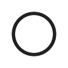 O-Ring