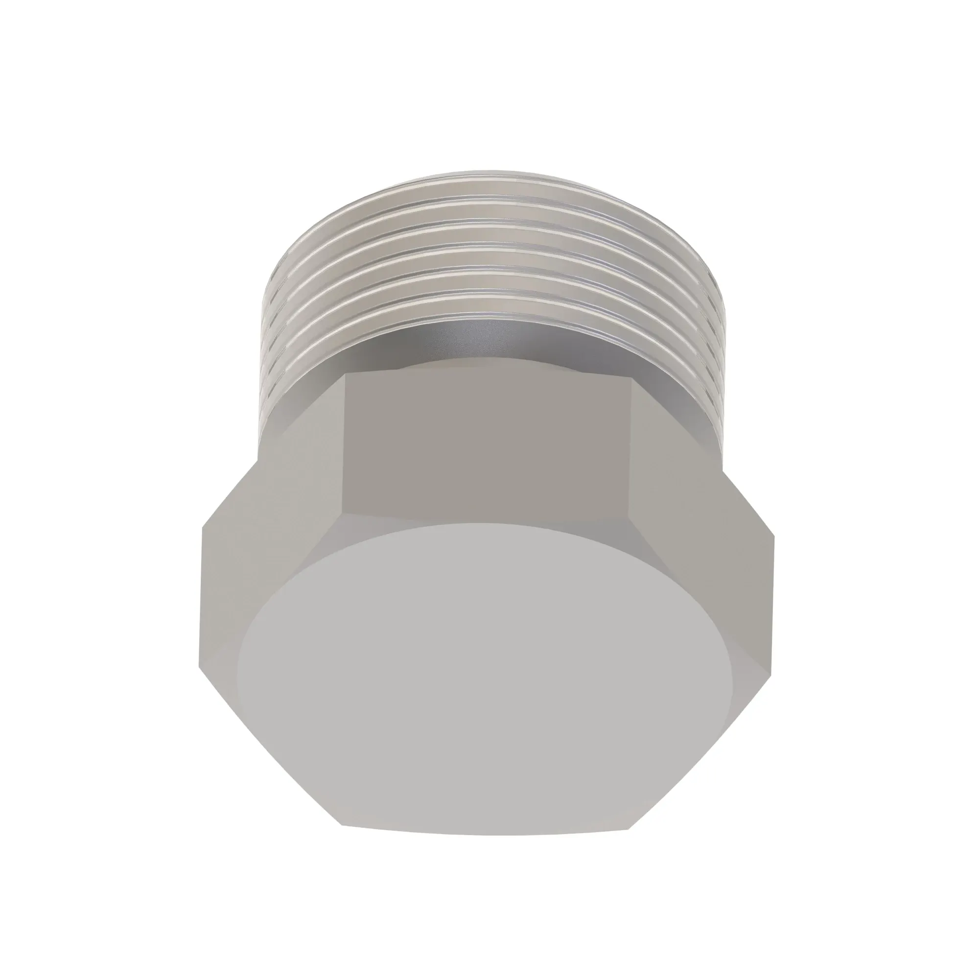 Fitting Plug