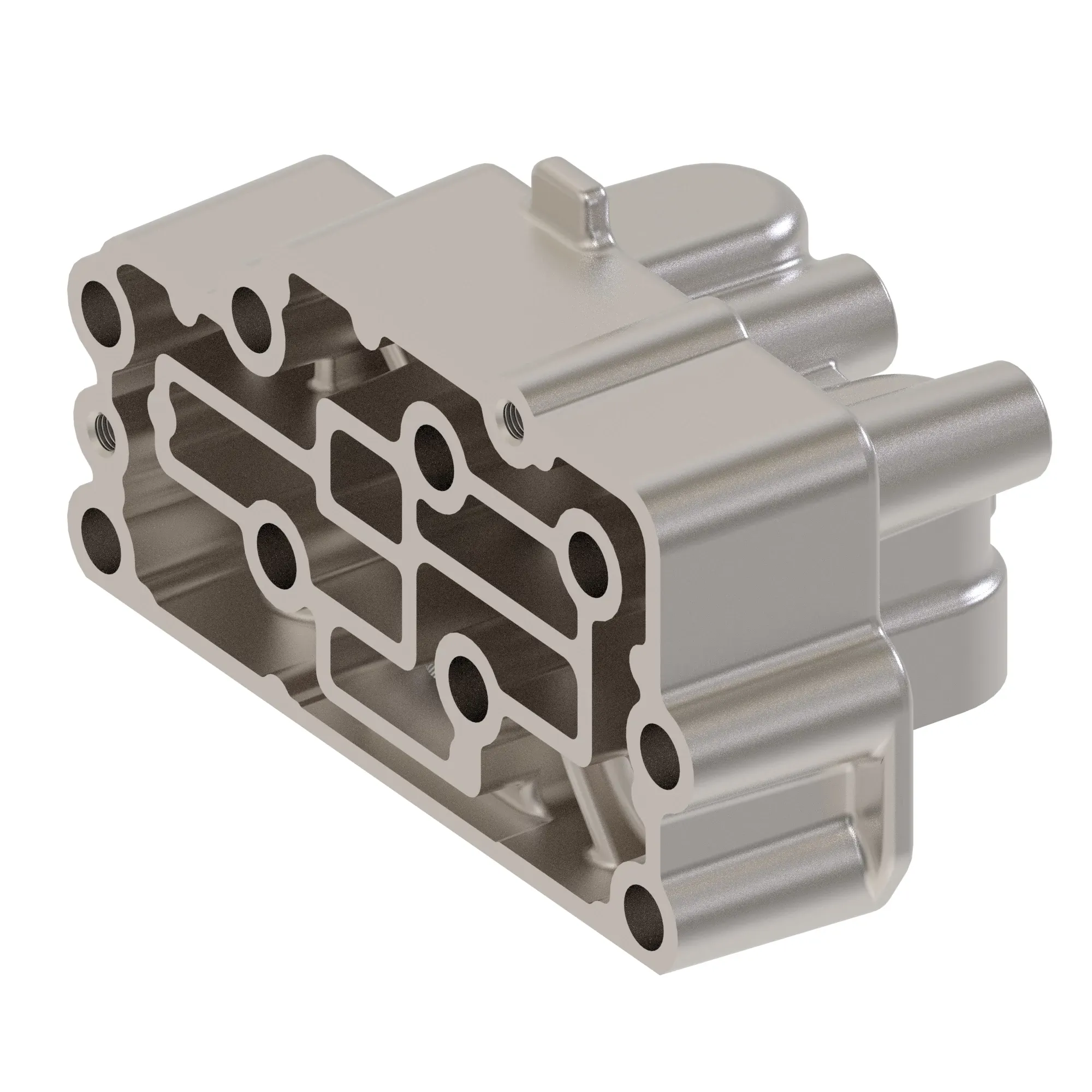 Manifold