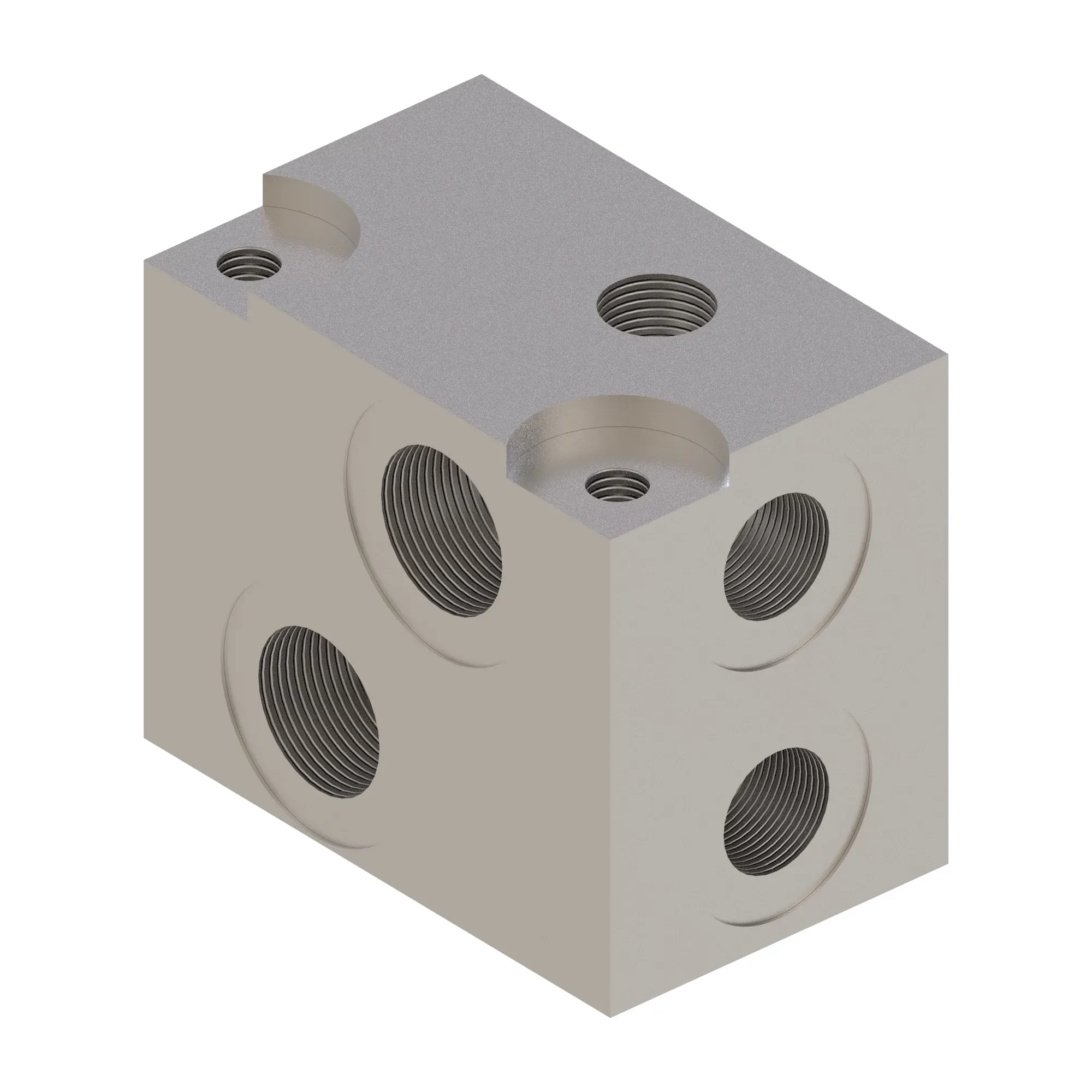 Manifold
