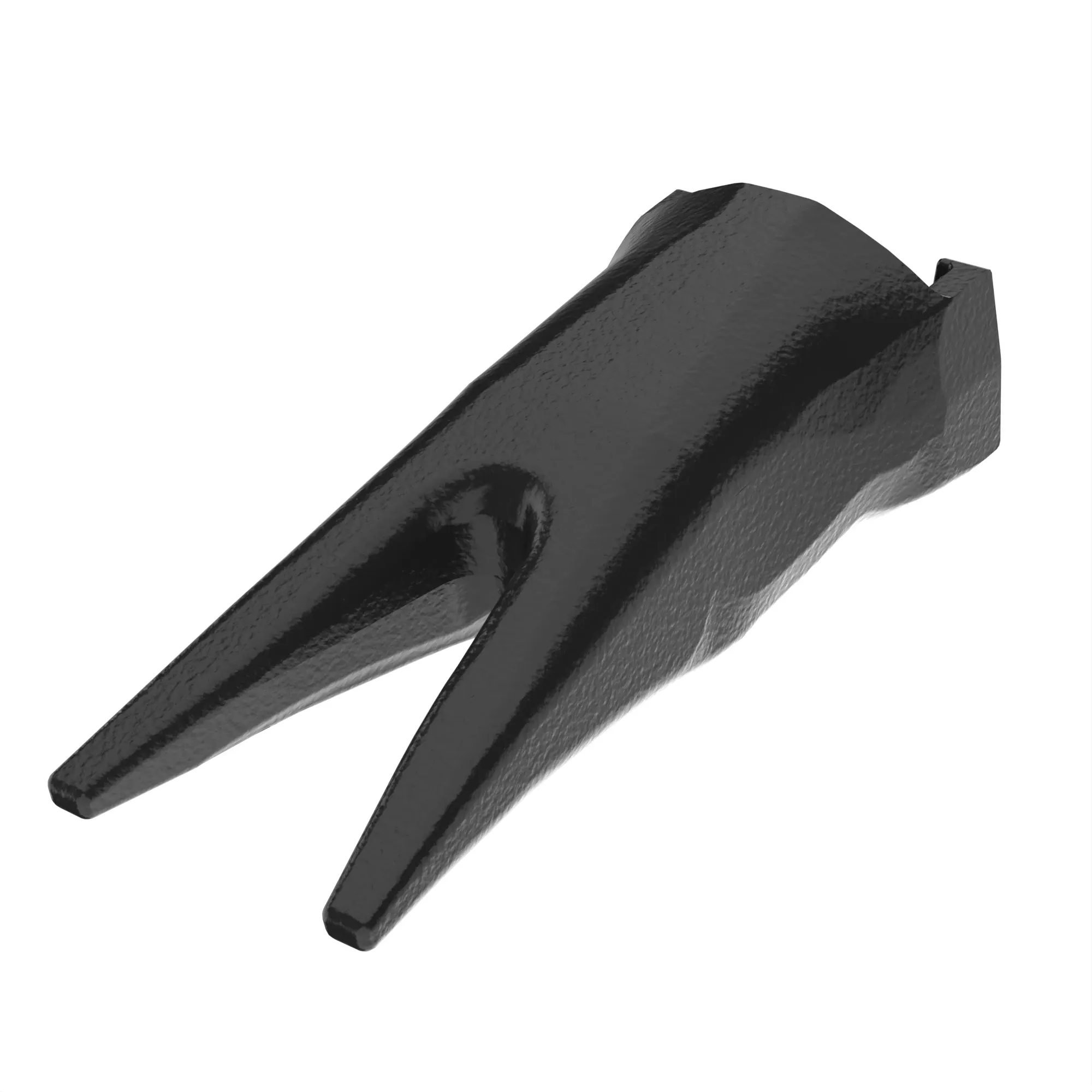 Twin Tiger Tooth