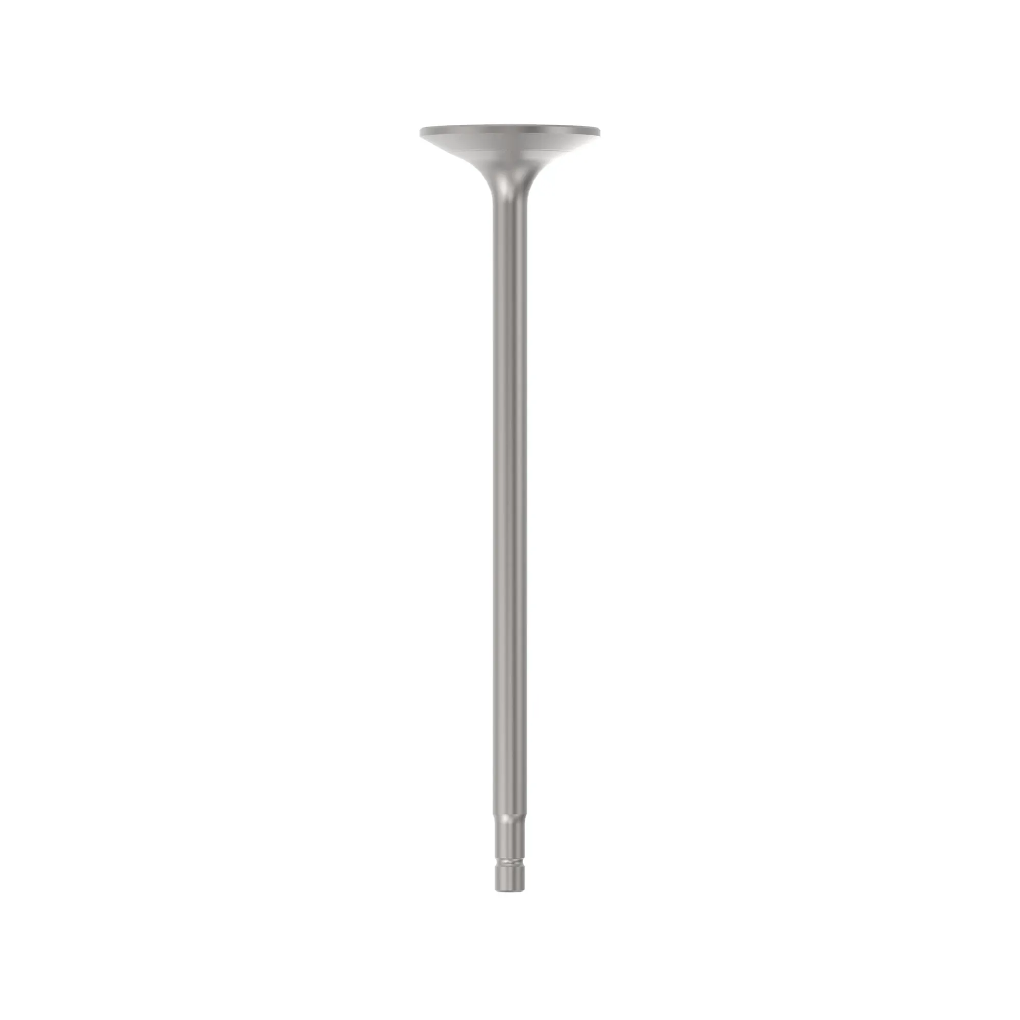 Exhaust Valve