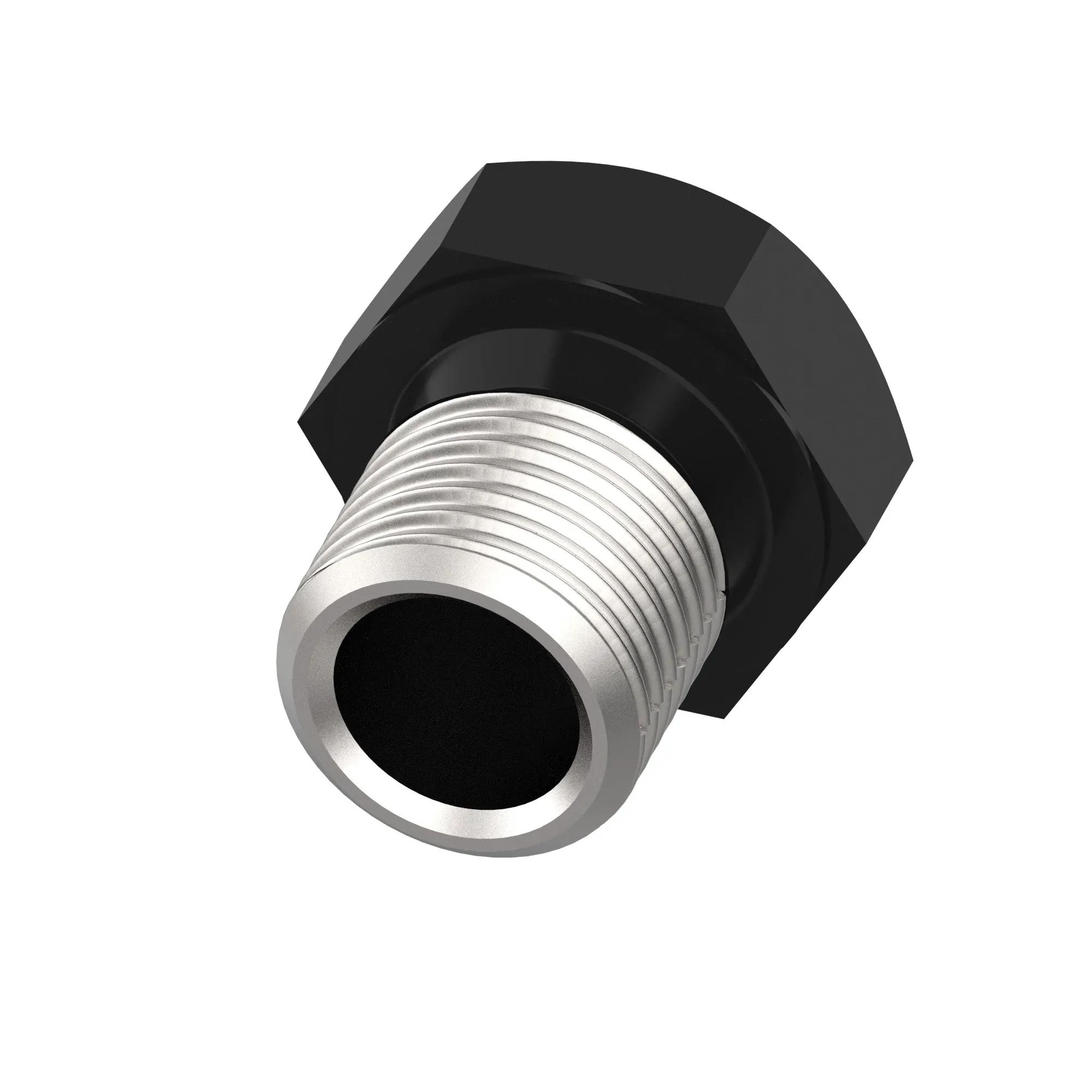 Fitting Plug